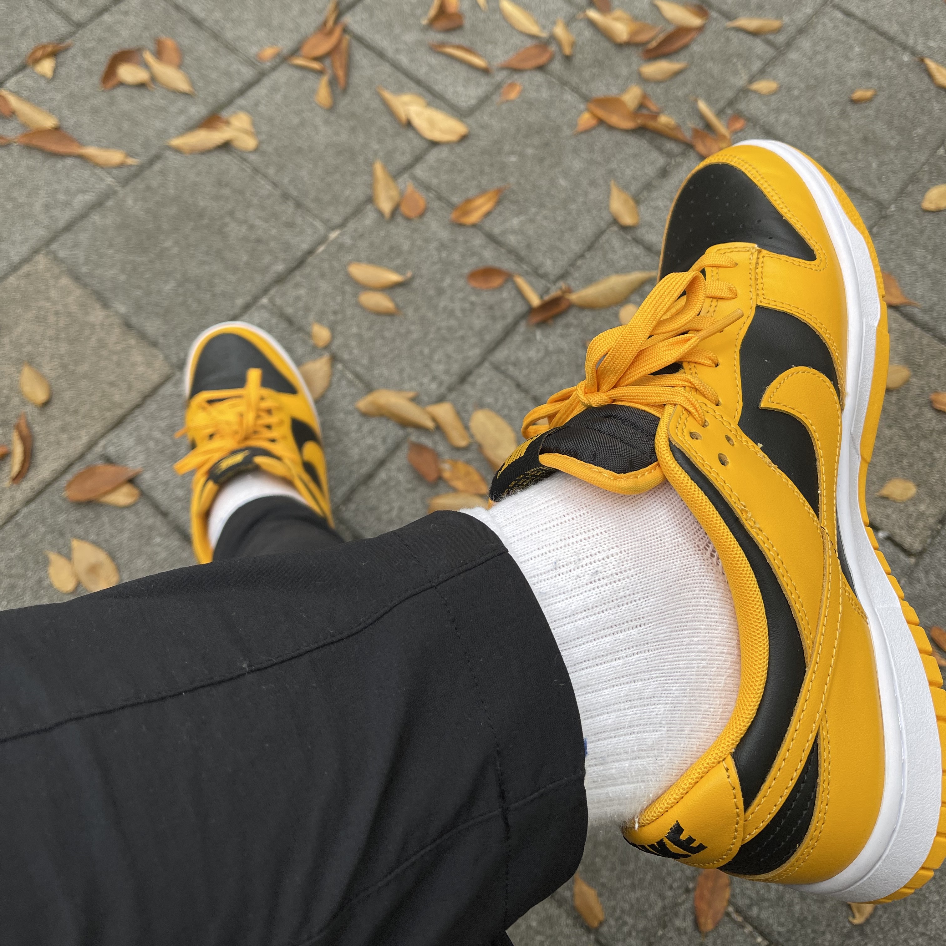 Nike Dunk Low Retro Championship Goldenrod 착용 스타일
