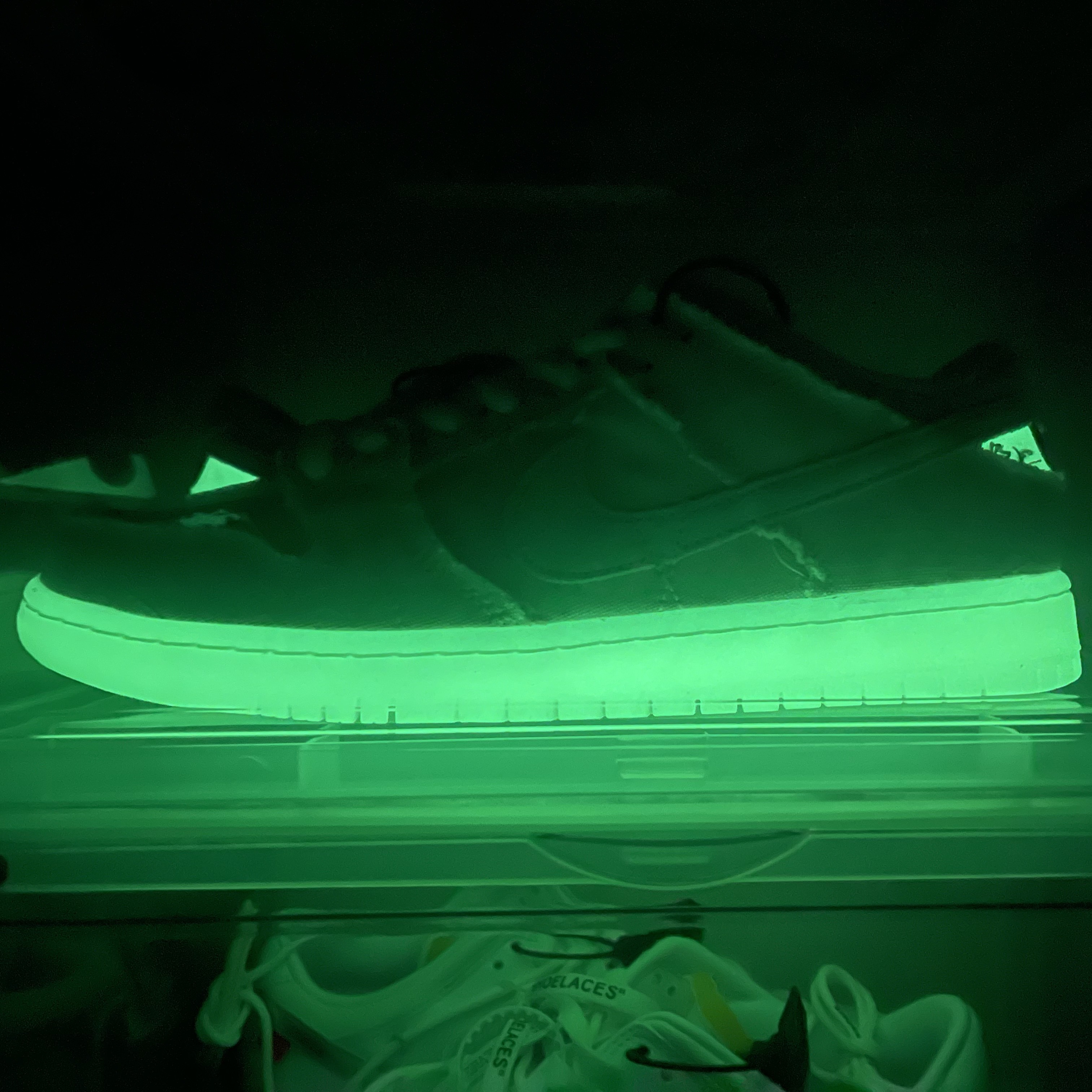 Nike SB Dunk Low Pro Premium Mummy 착용 스타일
