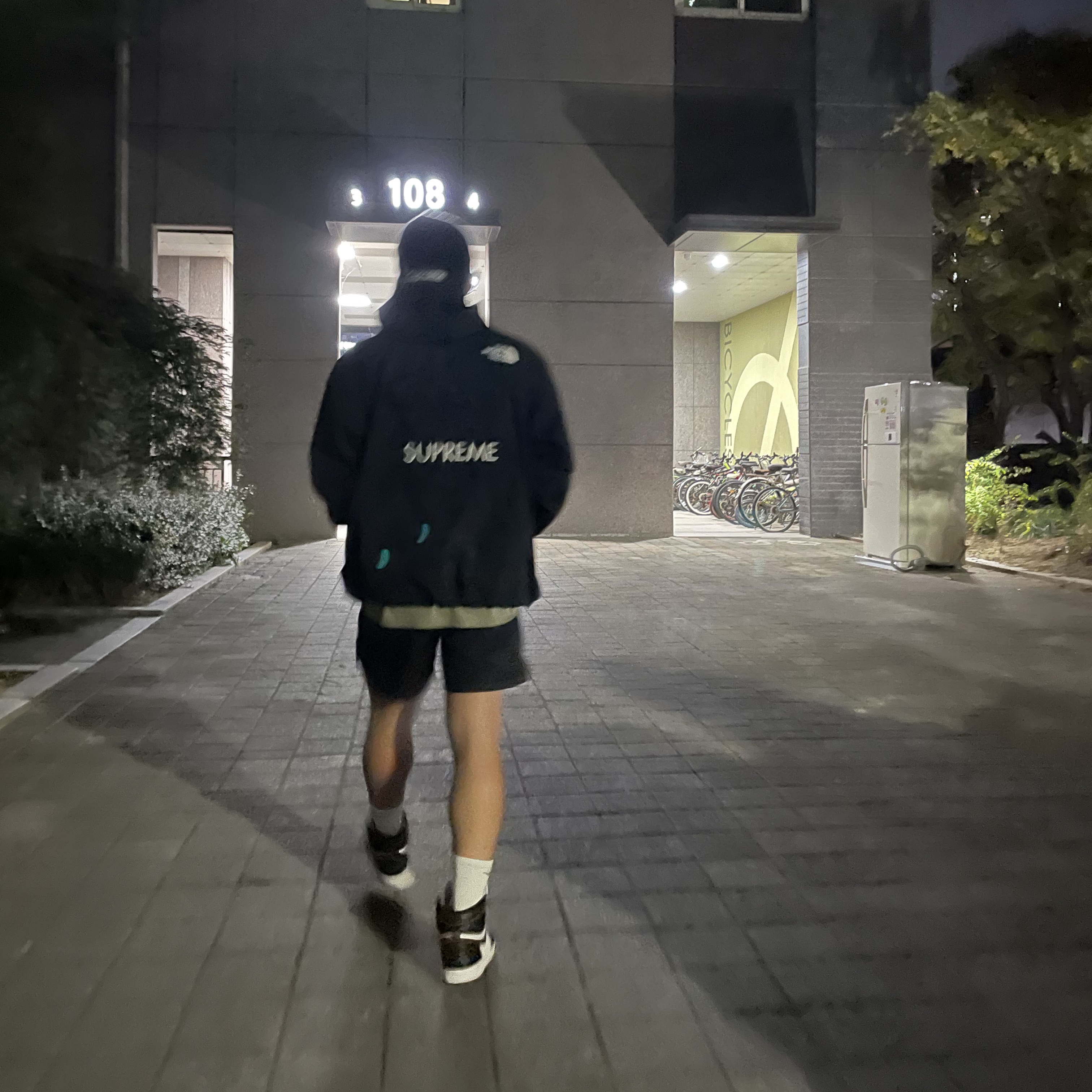 Supreme x The North Face Cargo Jacket Black - 20SS, Jordan 1 Retro High OG Bloodline 착용 스타일