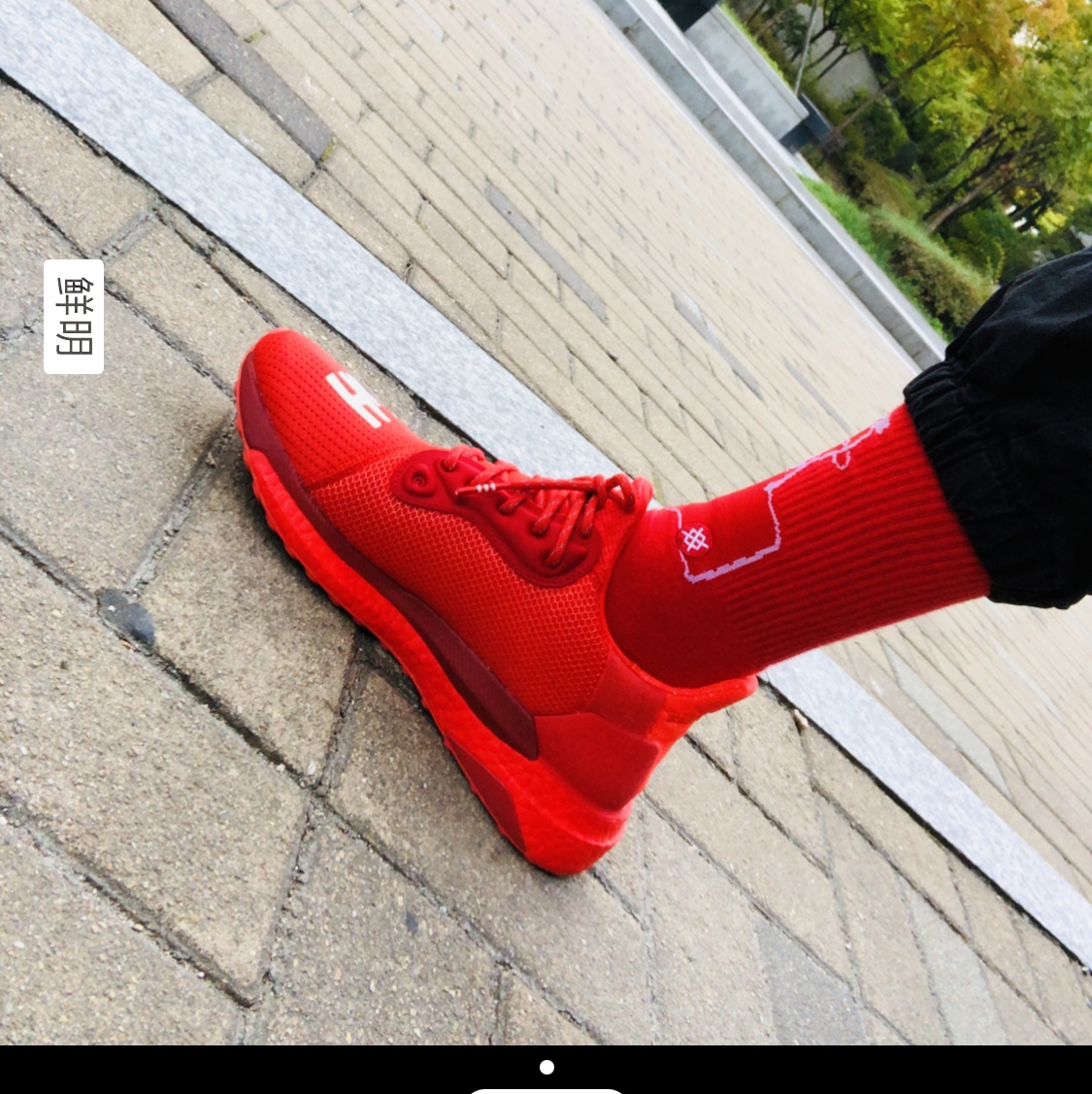 yangyuan50님의 스타일 - 3