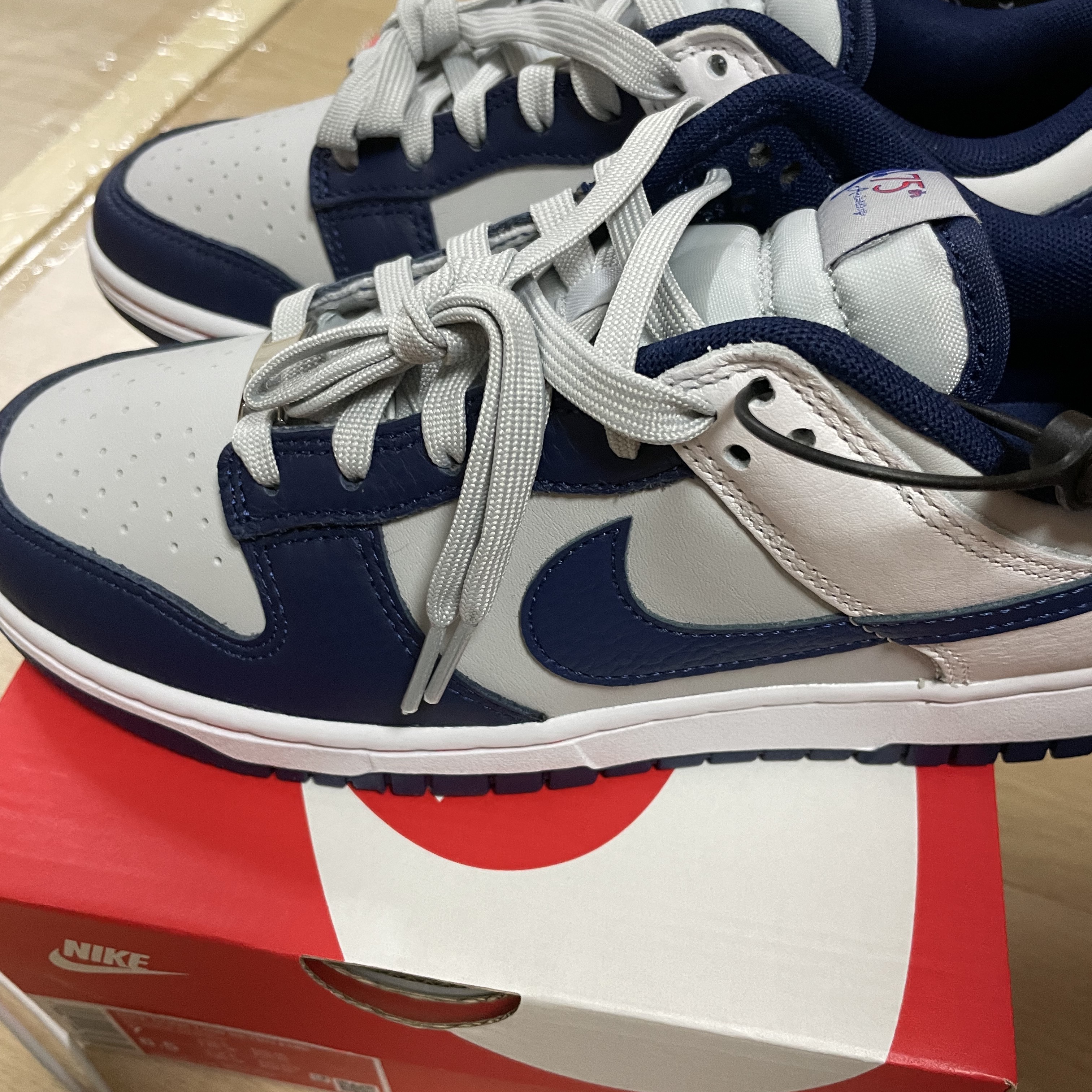 Nike x NBA Dunk Low Retro EMB Nets 착용 스타일 - 5