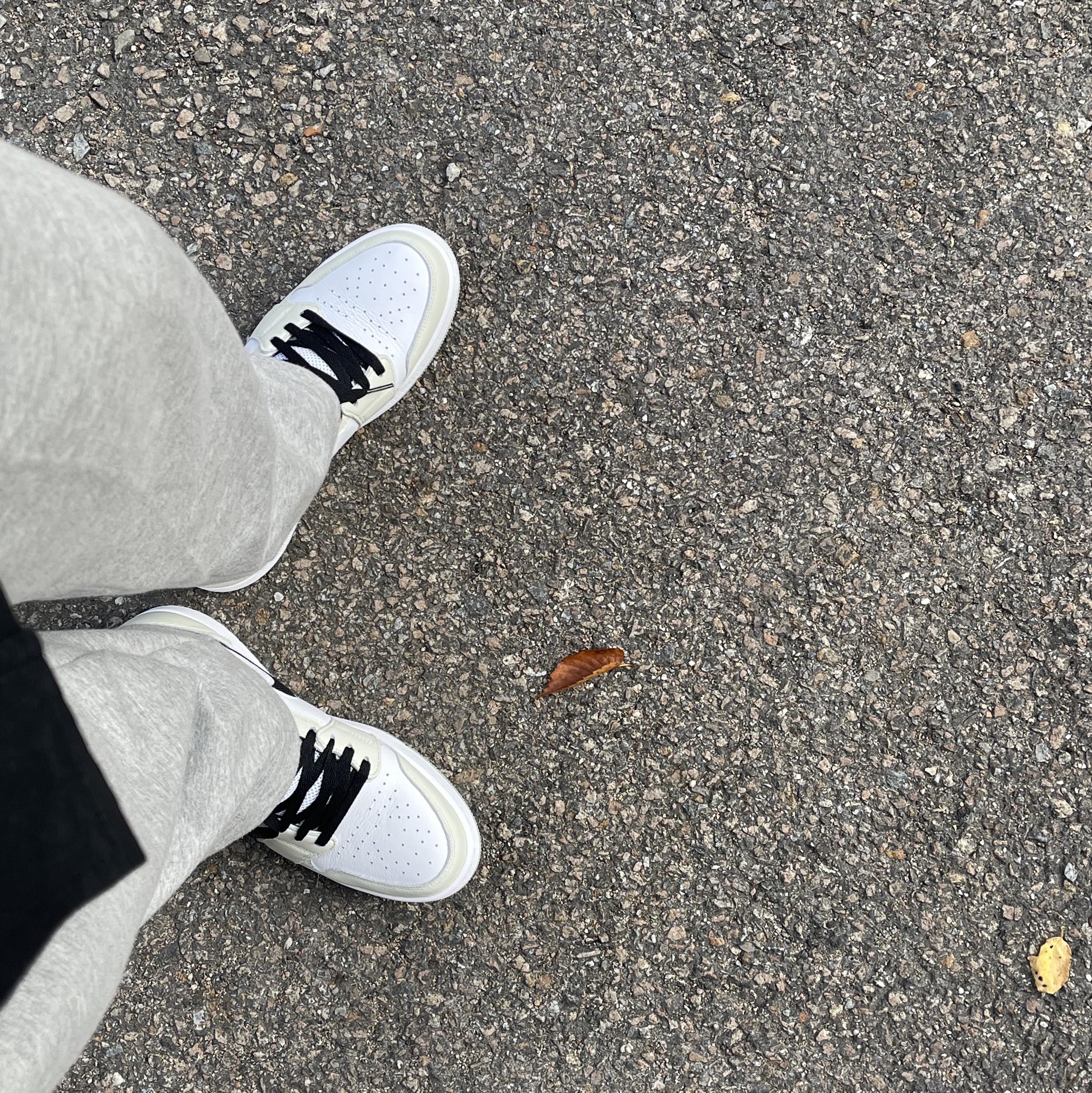 (W) Jordan 1 Zoom Air CMFT Light Bone 착용 스타일
