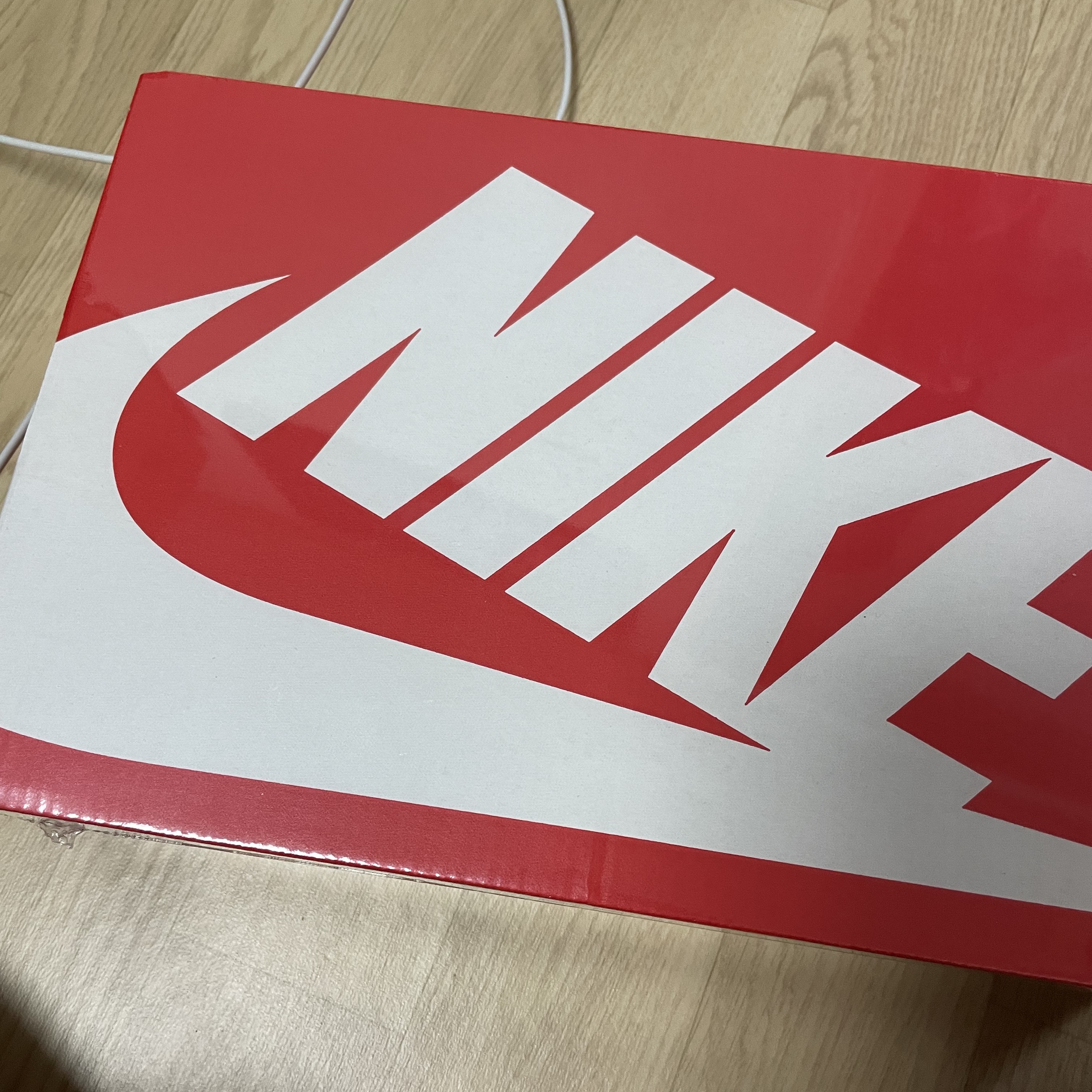 Nike x NBA Dunk Low Retro EMB Nets 착용 스타일 - 3