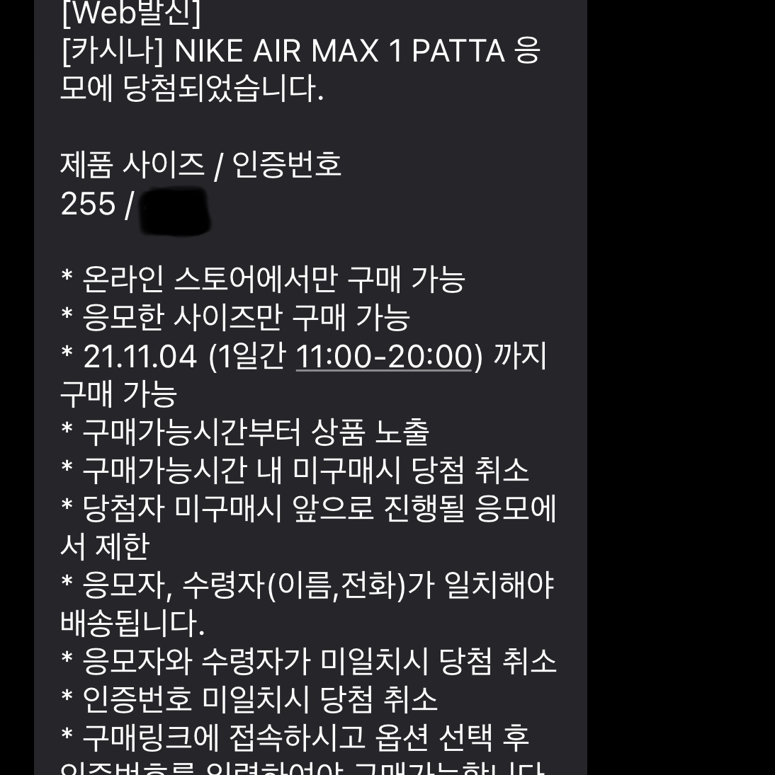 Nike x Patta Air Max 1 Noise Aqua 착용 스타일