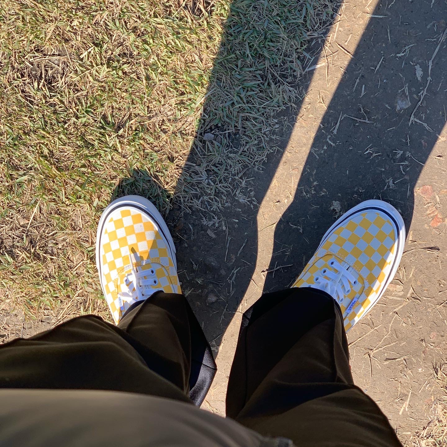 Vans Authentic 44 DX Anaheim Factory Yellow Checker 착용 스타일 - 1