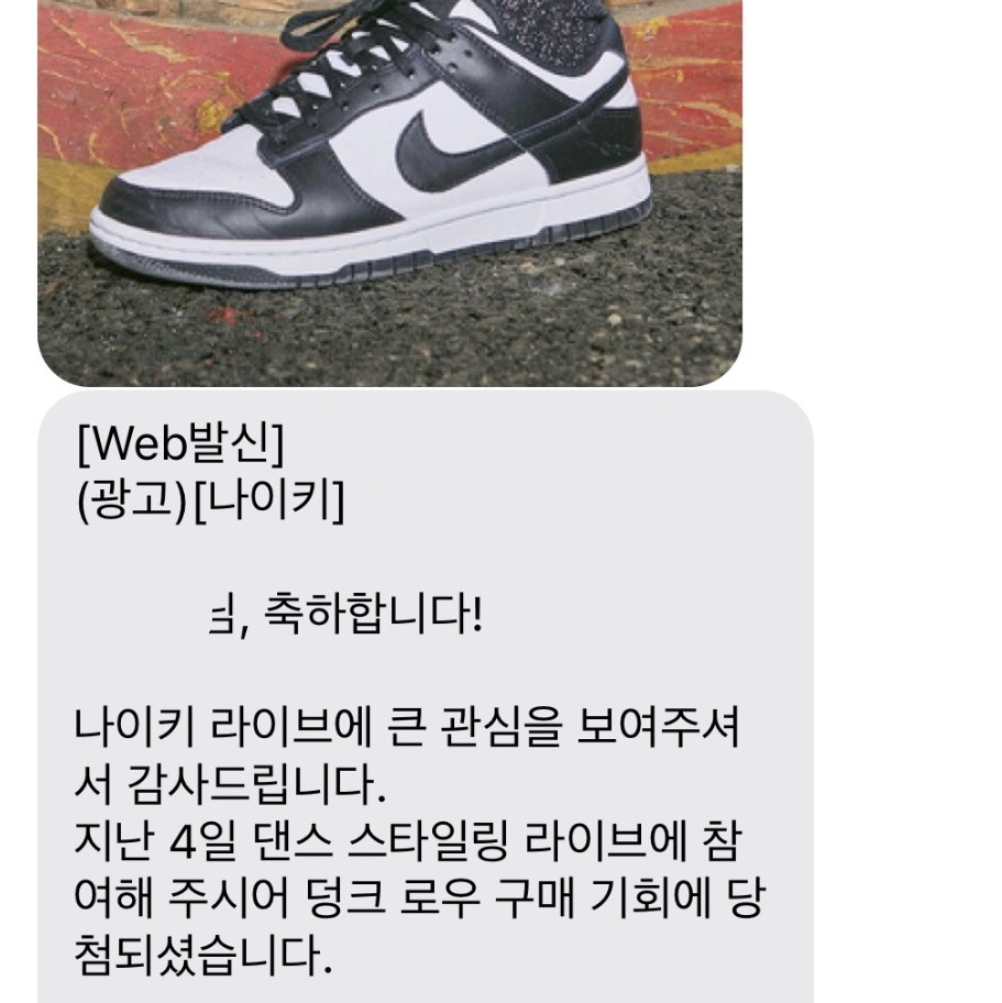 (W) Nike Dunk Low Black 착용 스타일