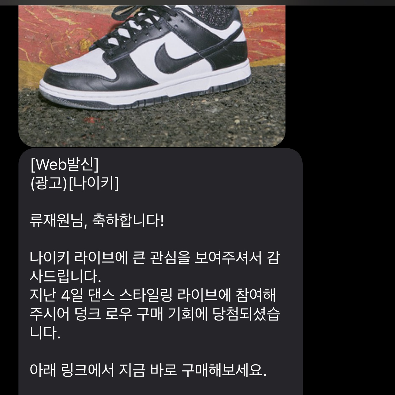 Nike Dunk Low Retro Black 착용 스타일