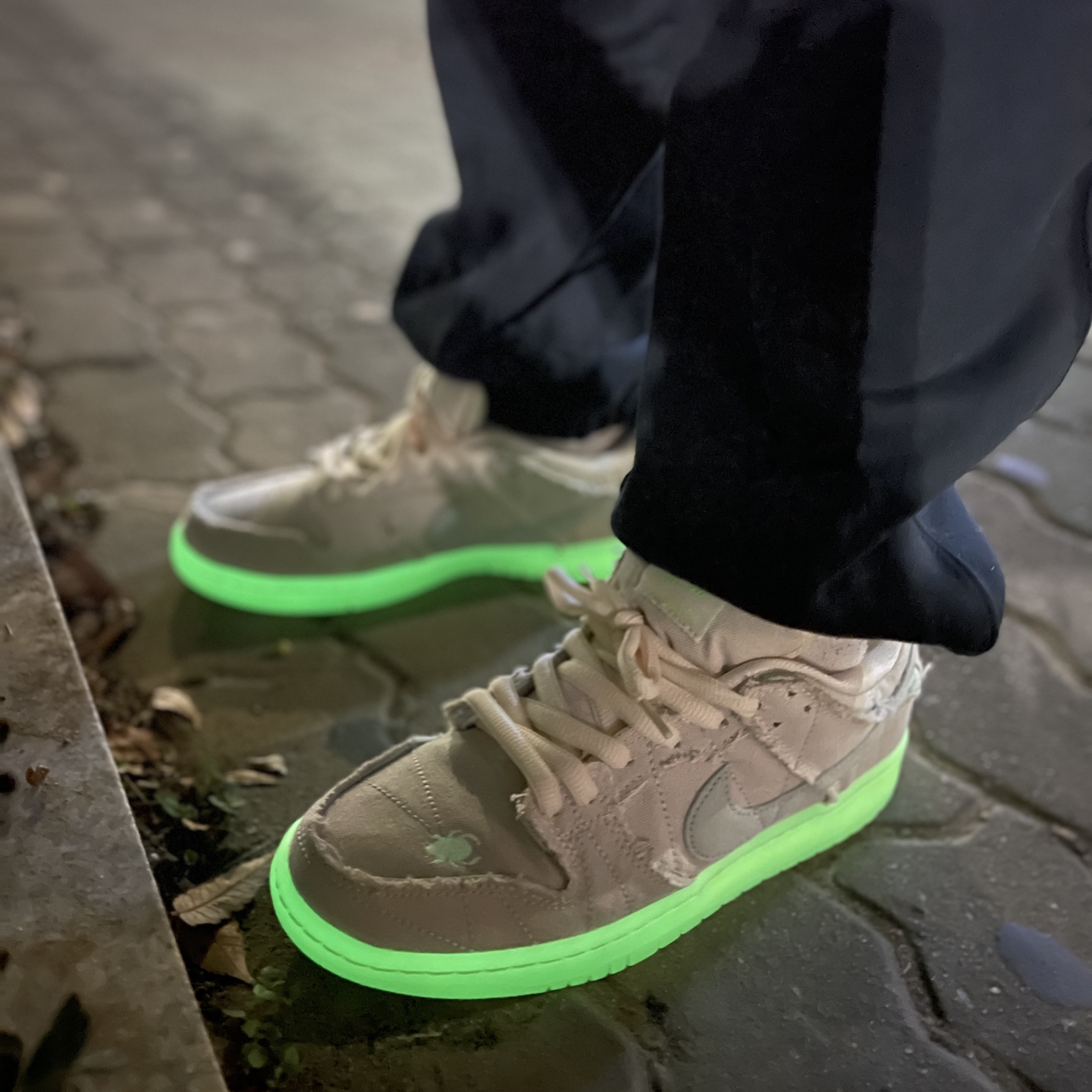 Nike SB Dunk Low Pro Premium Mummy 착용 스타일 - 1