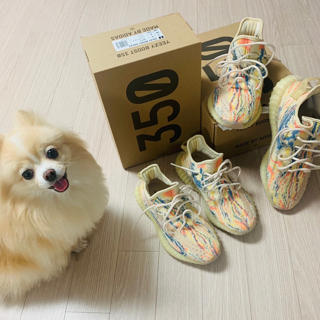 Adidas Yeezy Boost 350 V2 MX Oat 착용 스타일 - 2