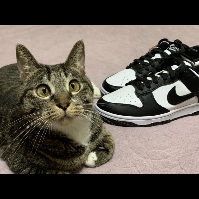 Nike Dunk Low Retro Black 착용 스타일