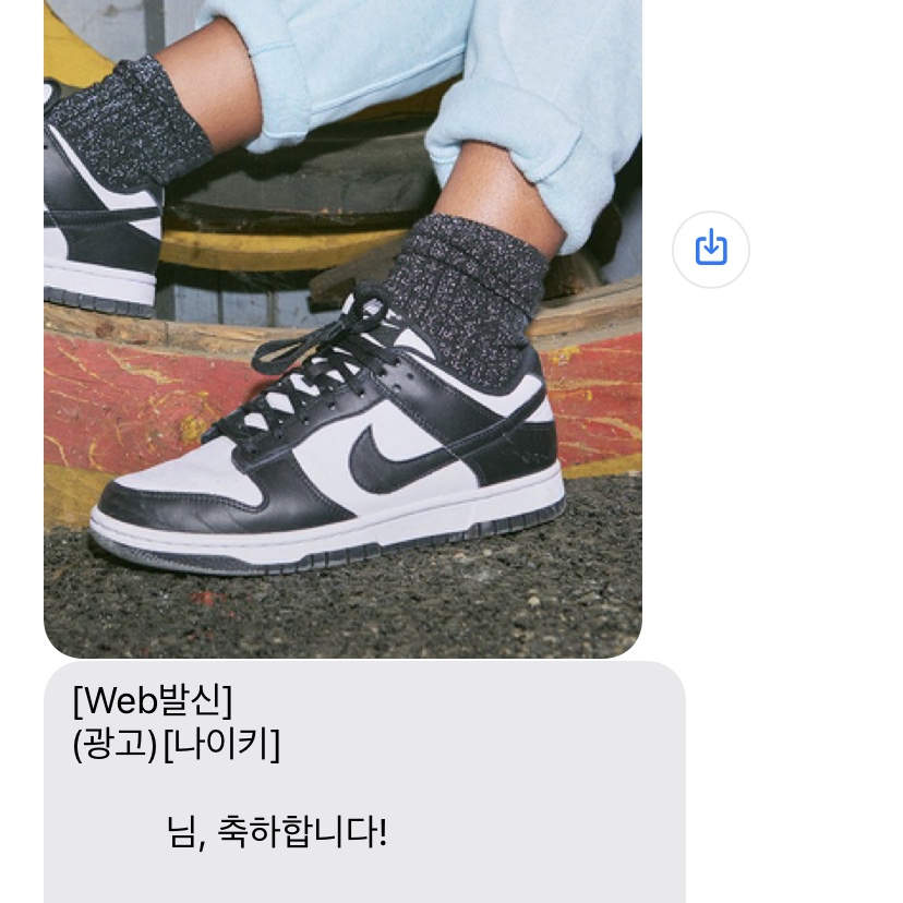 Nike Dunk Low Retro Black 착용 스타일
