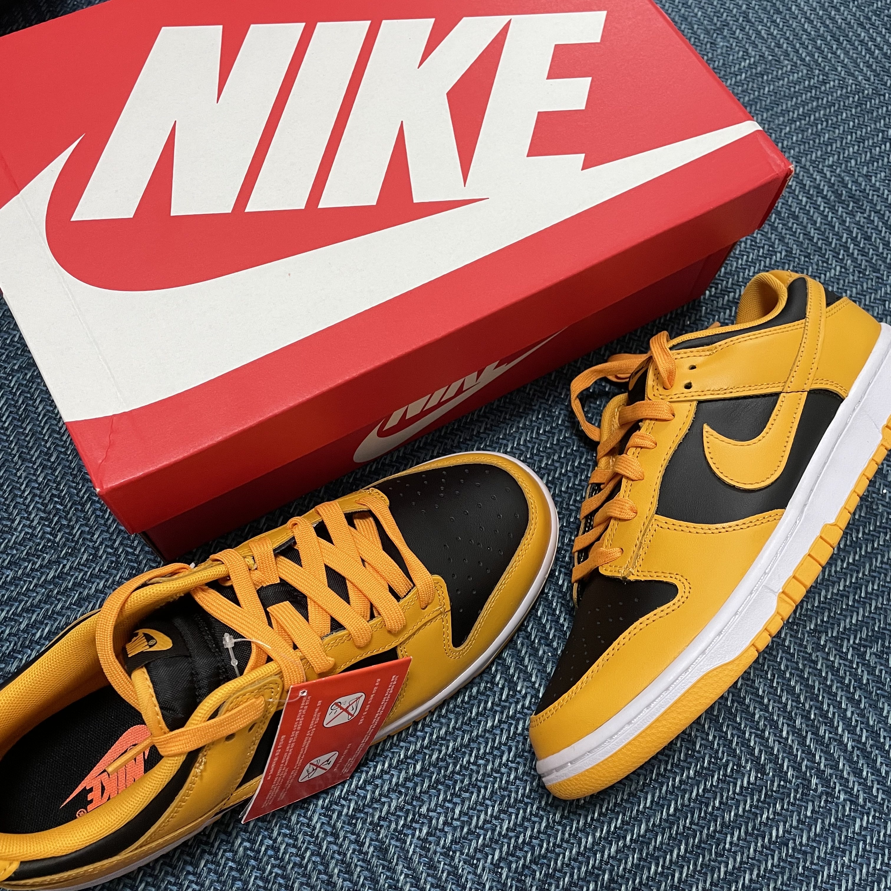 Nike Dunk Low Retro Championship Goldenrod 착용 스타일