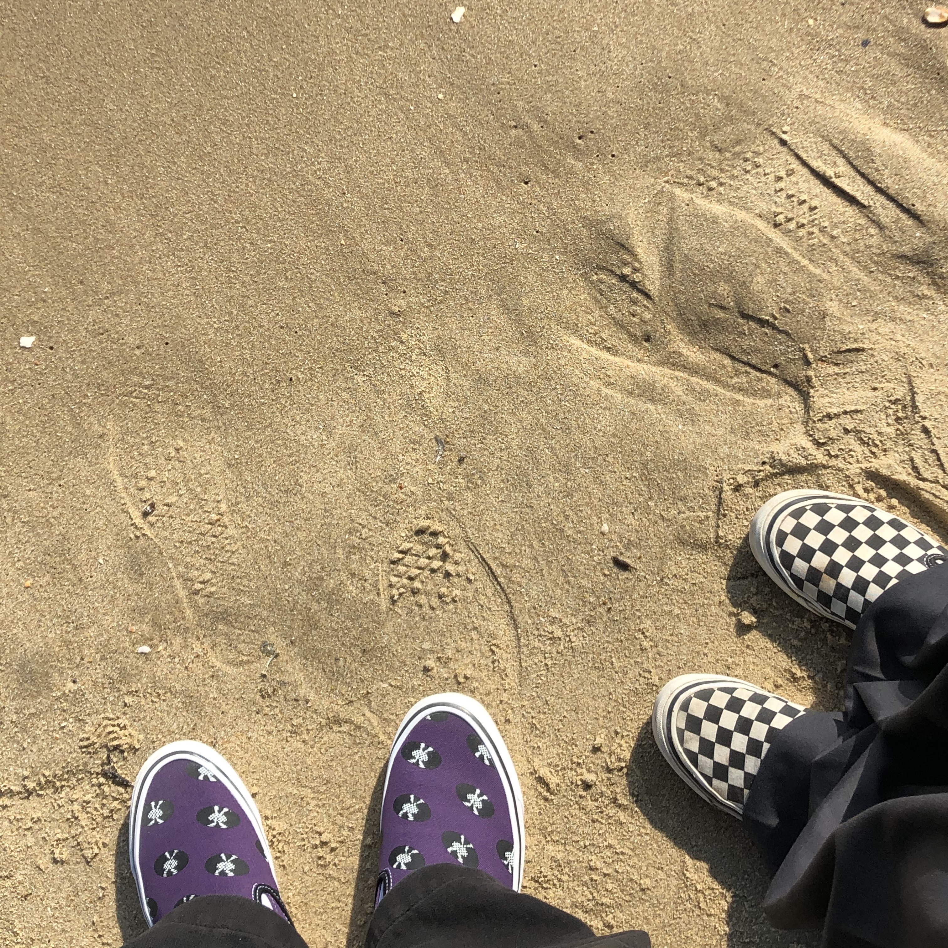Vans Vault x Wacko Maria Classic Slip-On LX Purple 착용 스타일 - 3