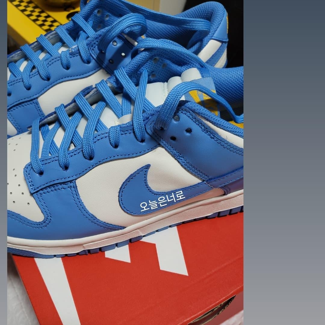 (W) Nike Dunk Low Coast 착용 스타일
