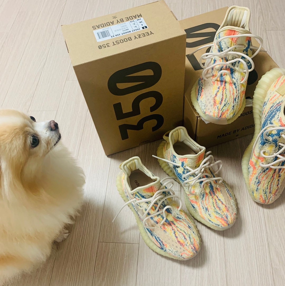 Adidas Yeezy Boost 350 V2 MX Oat 착용 스타일 - 3