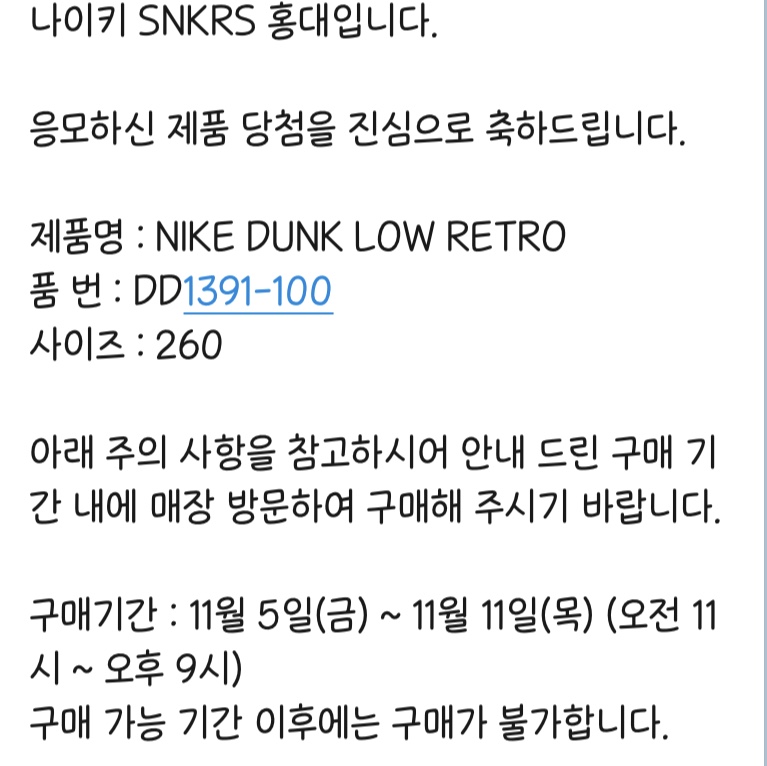 Nike Dunk Low Retro Black 착용 스타일