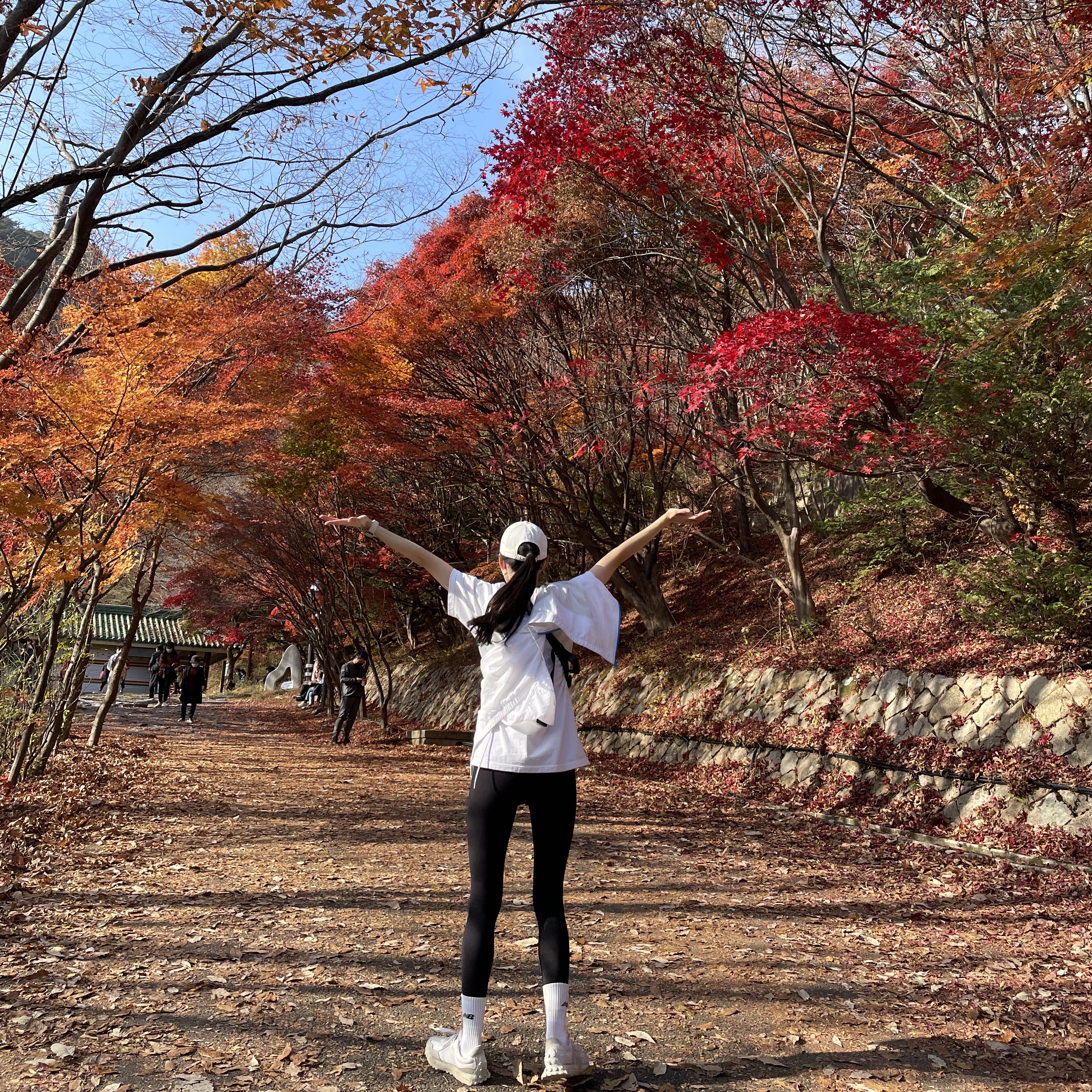 173님의 스타일