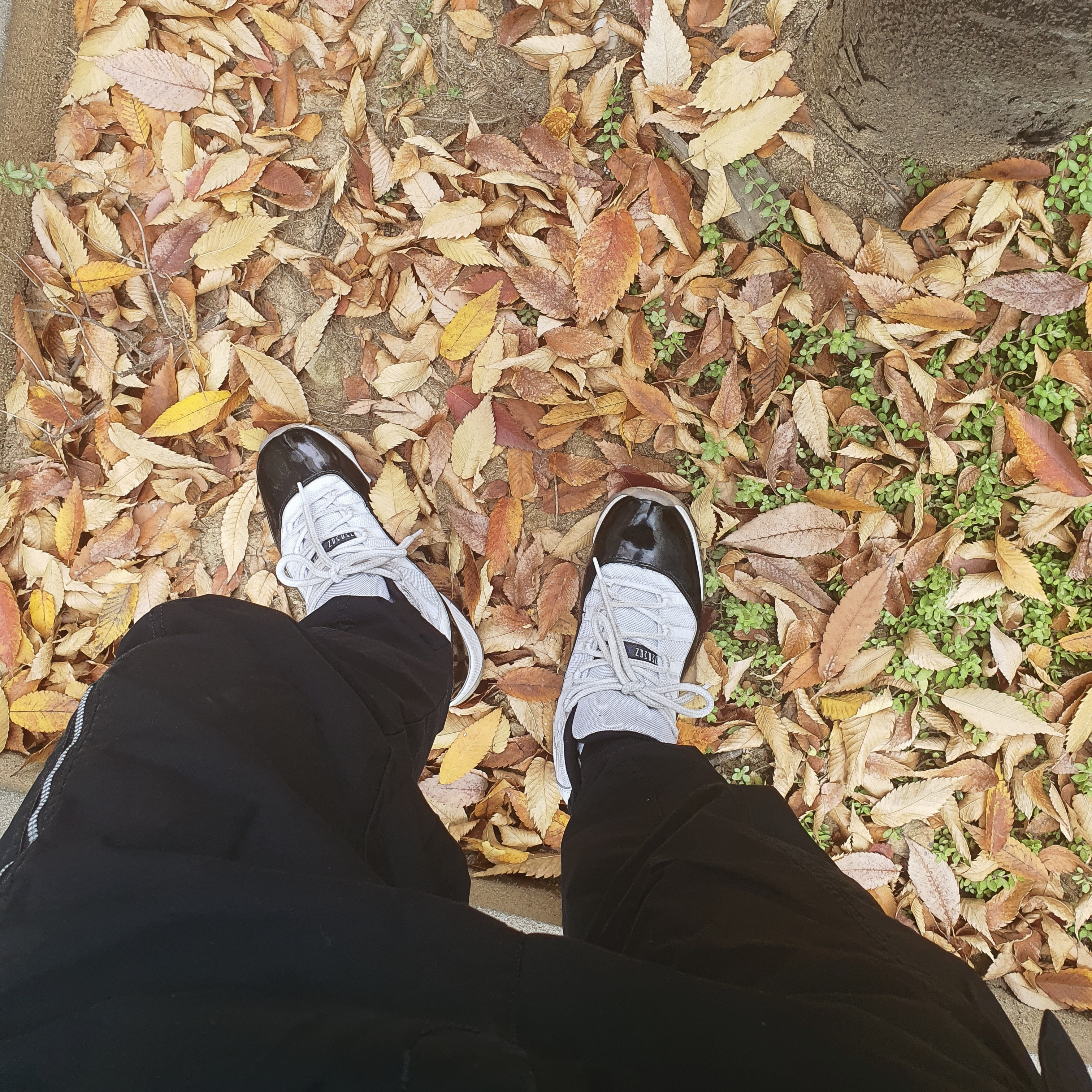 Jordan 11 Retro Concord 2018 착용 스타일