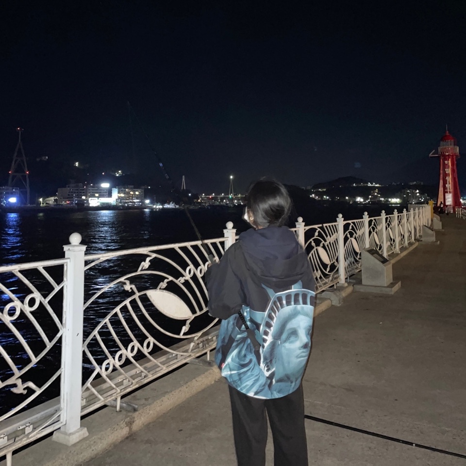 Supreme x The North Face Statue of Liberty Mountain Jacket Black - 19FW 착용 스타일