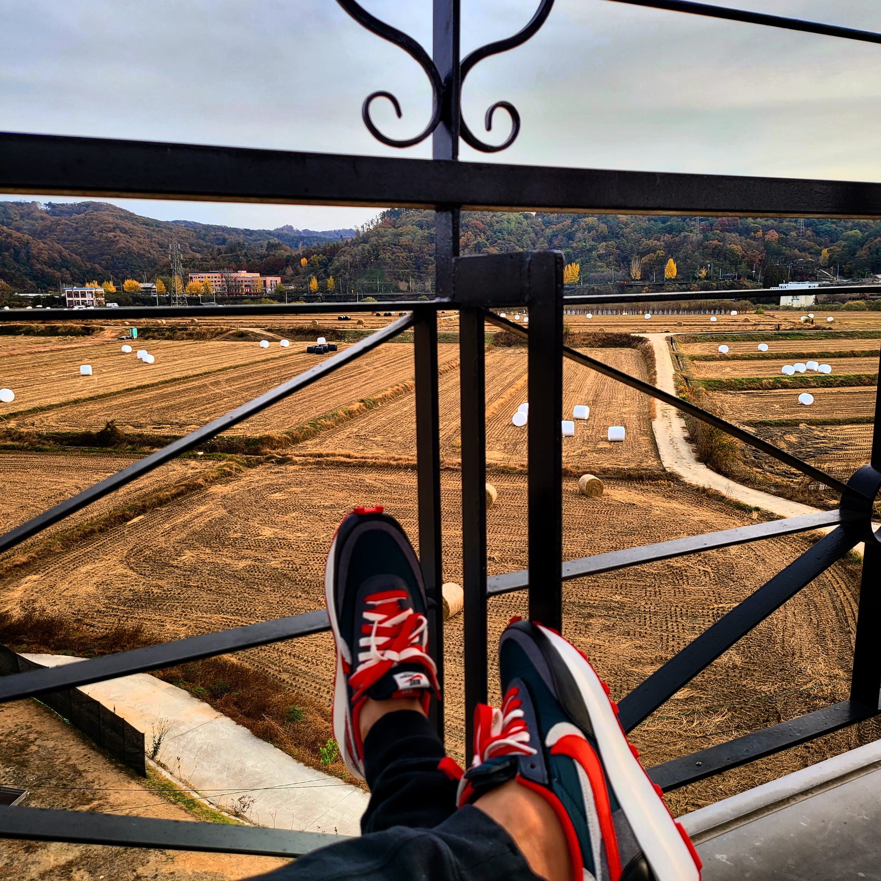 Nike x Sacai x Undercover LDWaffle Midnight Spruce University Red 착용 스타일
