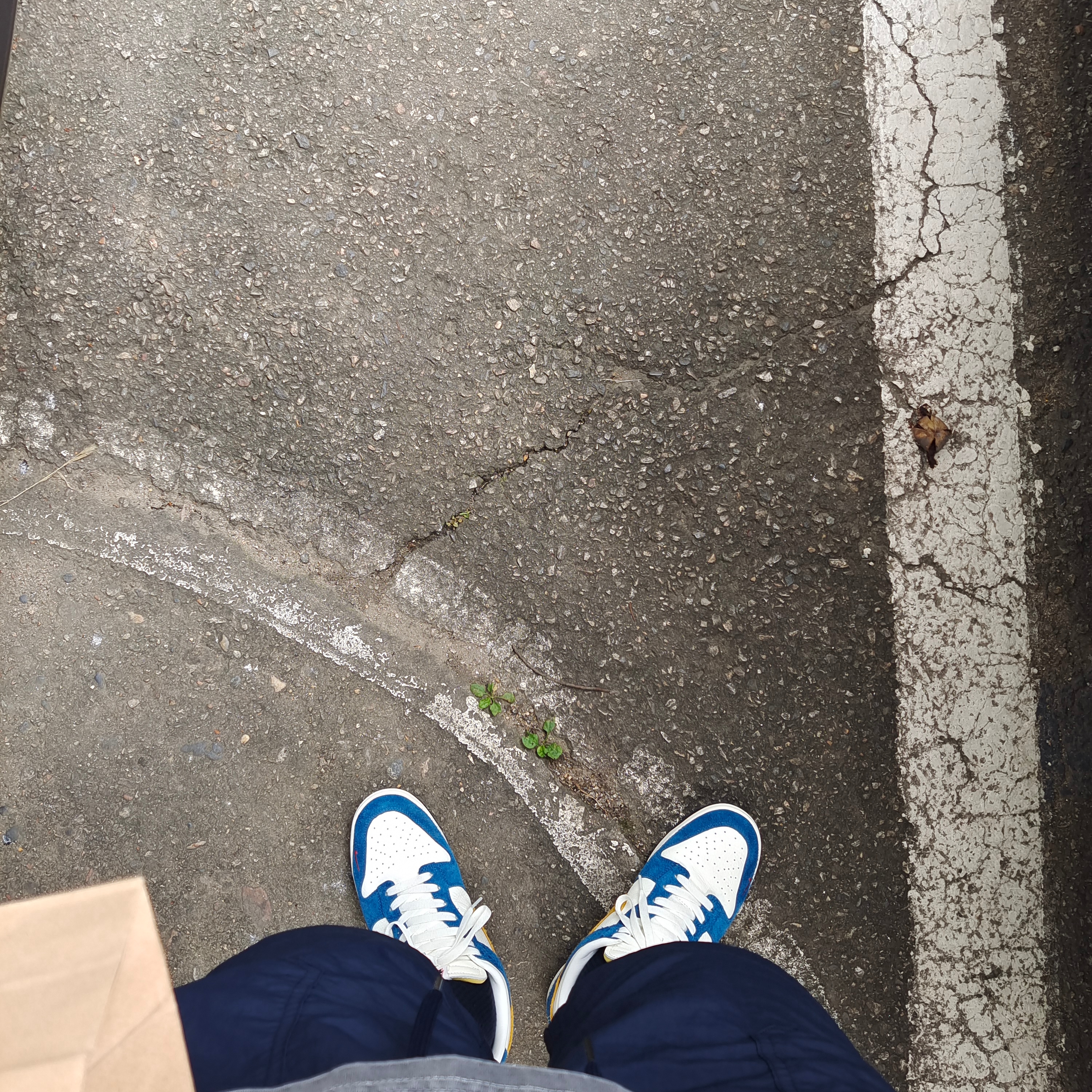 Nike x Kasina Dunk Low 80's Bus 착용 스타일