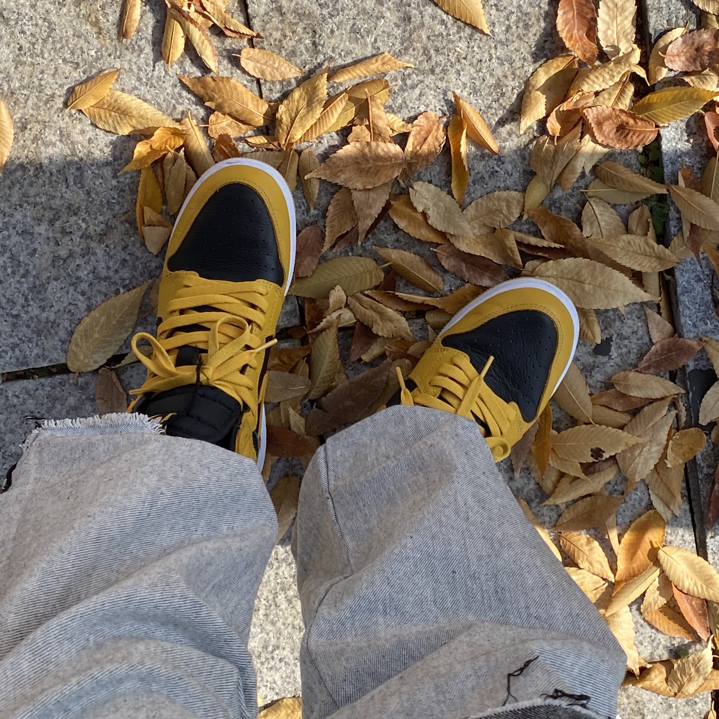 Jordan 1 Retro High OG Pollen 착용 스타일 - 2