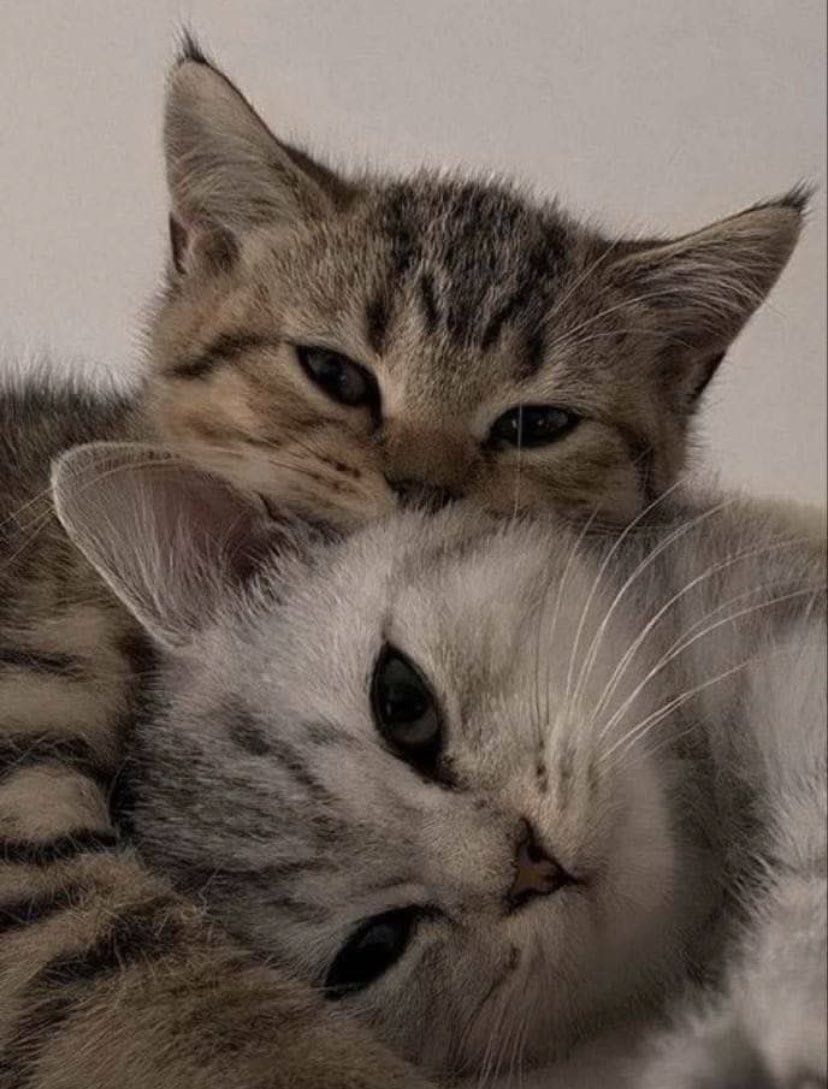 관심 유저 프로필 이미지