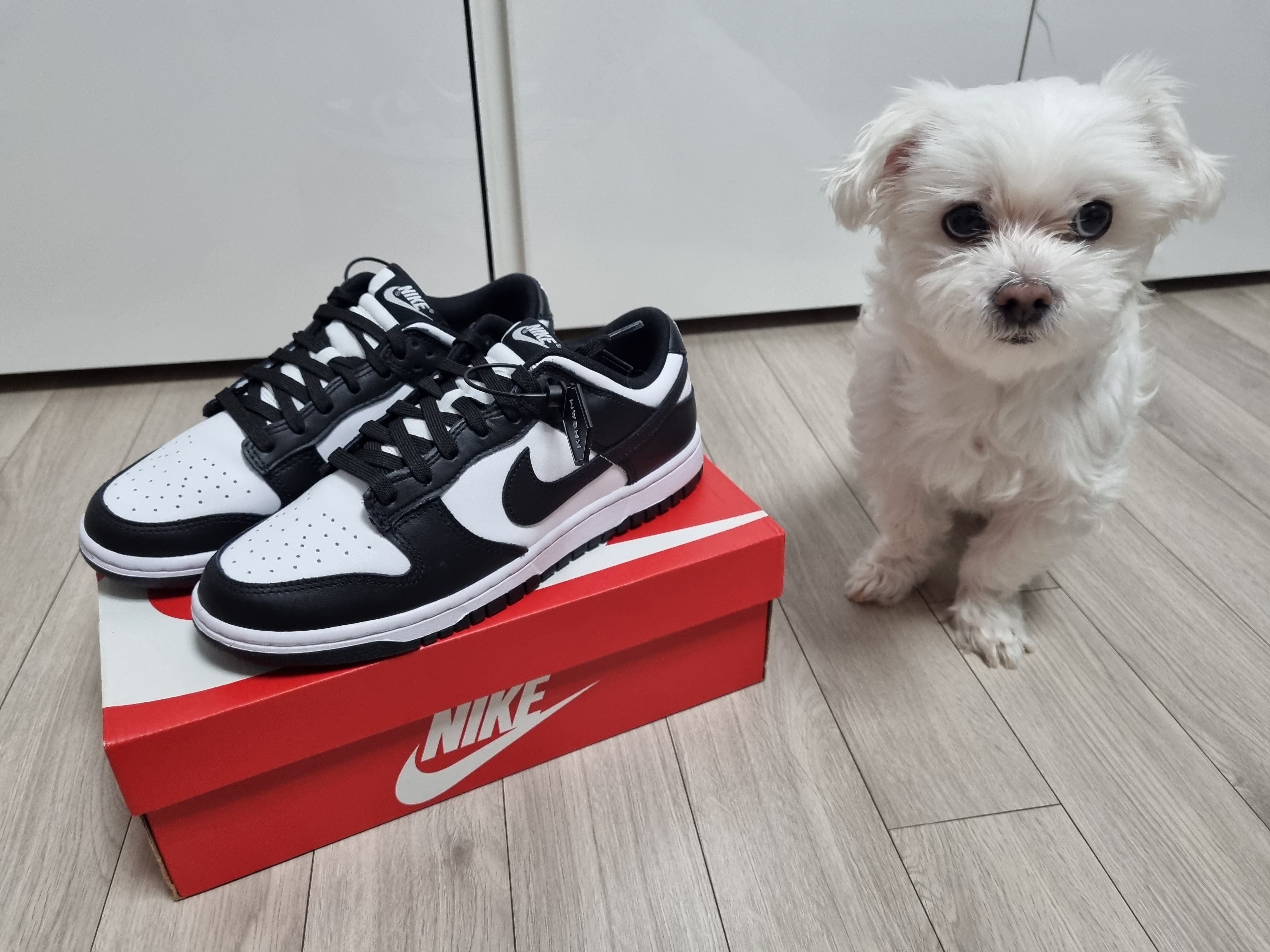 Nike Dunk Low Retro Black 착용 스타일 - 2