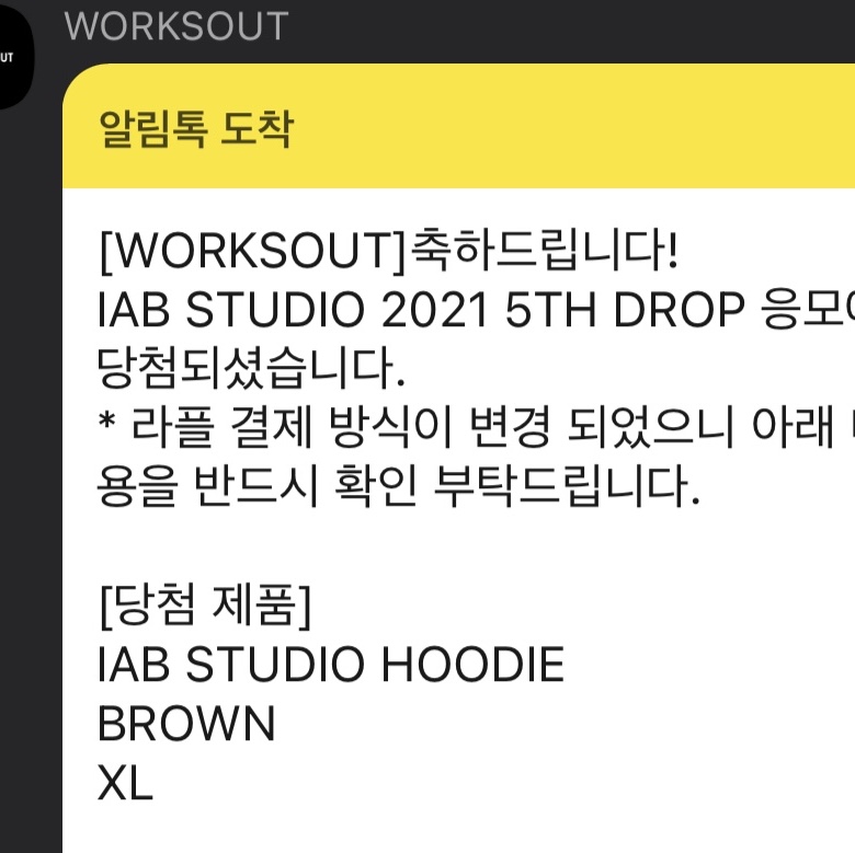 IAB Studio Hoodie Brown 착용 스타일