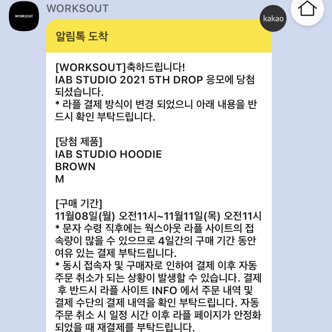 IAB Studio Hoodie Brown 착용 스타일