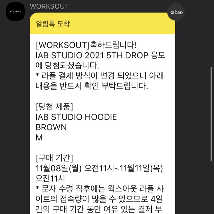 IAB Studio Hoodie Brown 착용 스타일