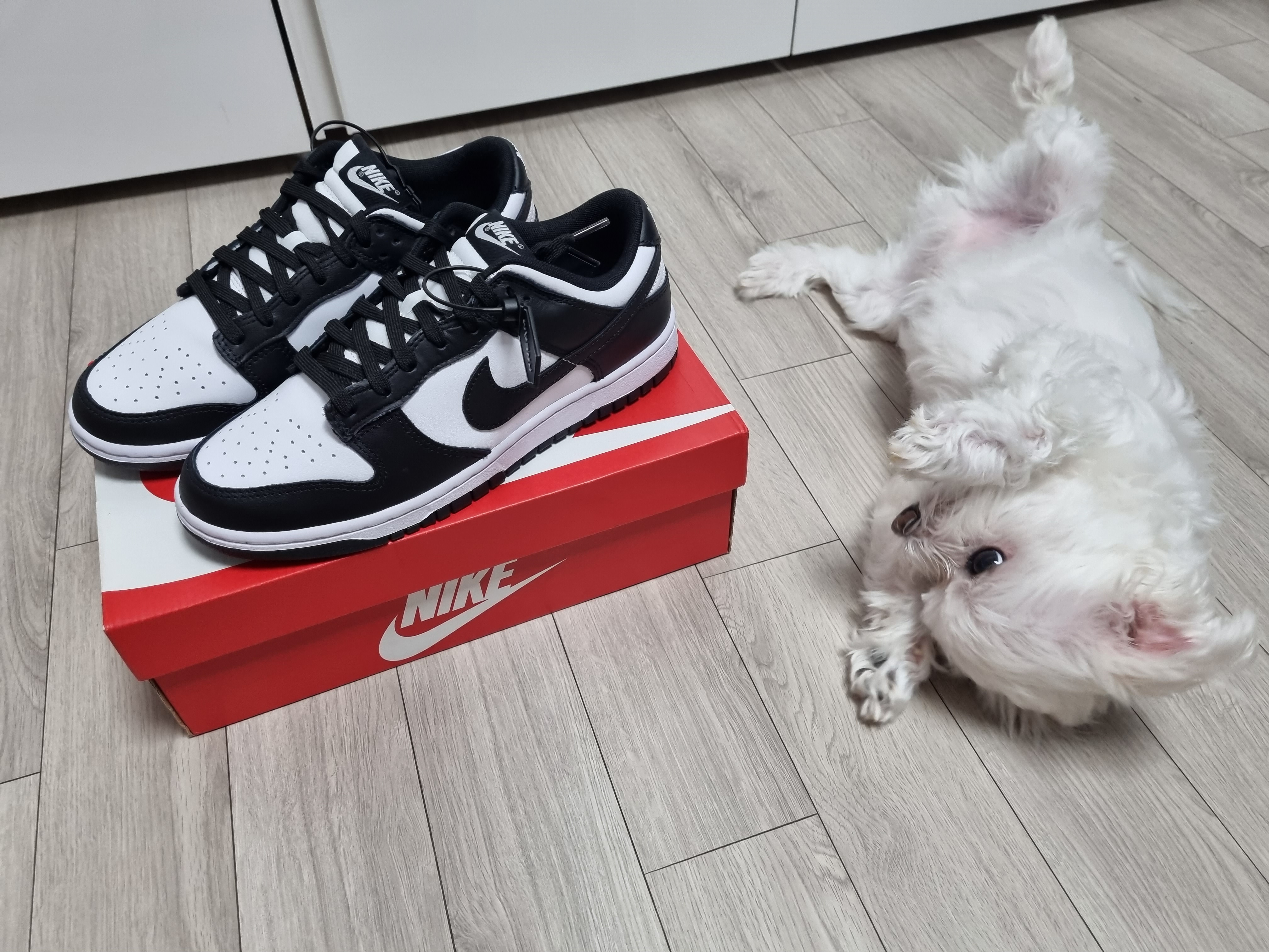 Nike Dunk Low Retro Black 착용 스타일 - 3