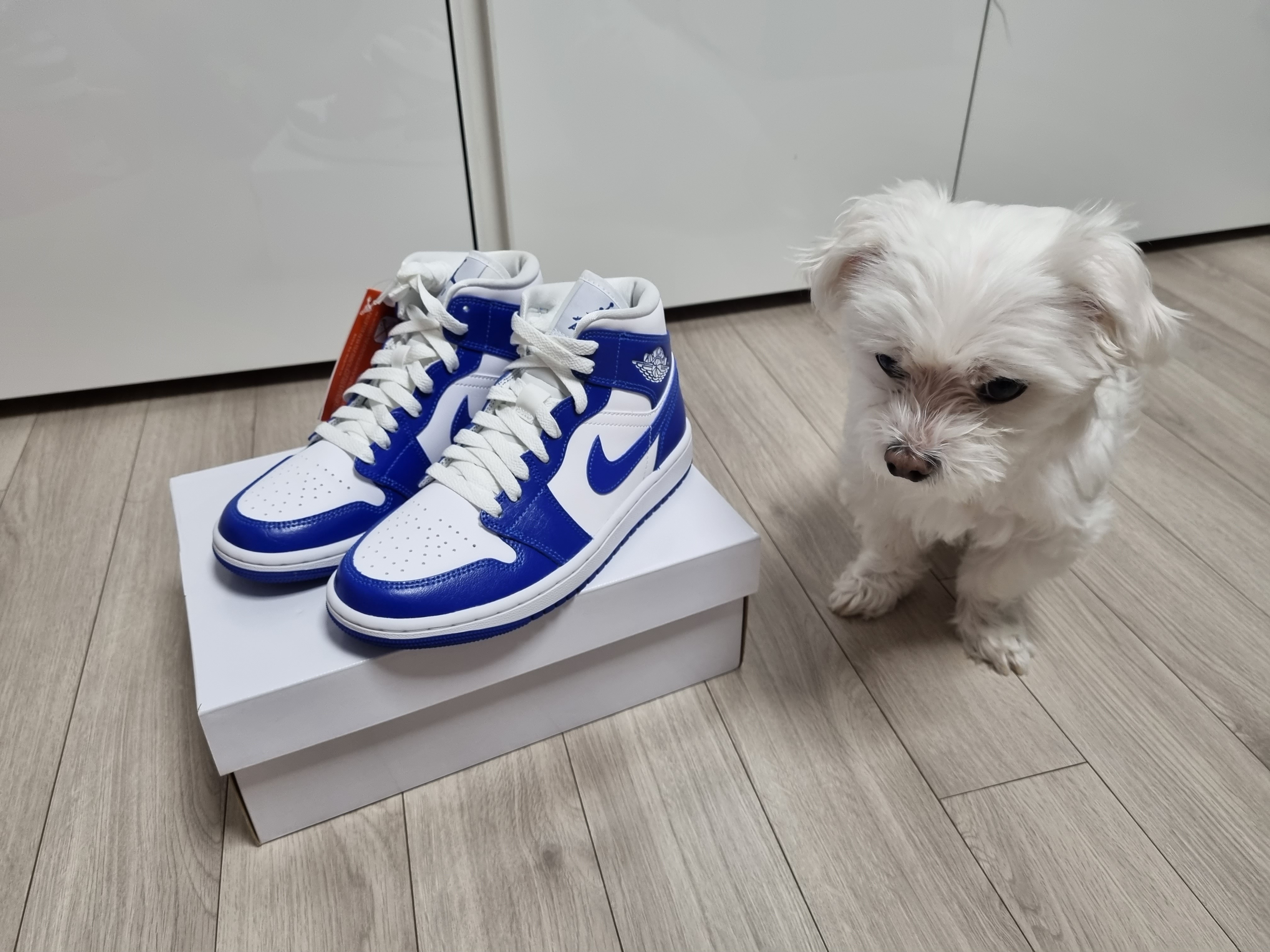 (W) Jordan 1 Mid White Hyper Royal 착용 스타일 - 2
