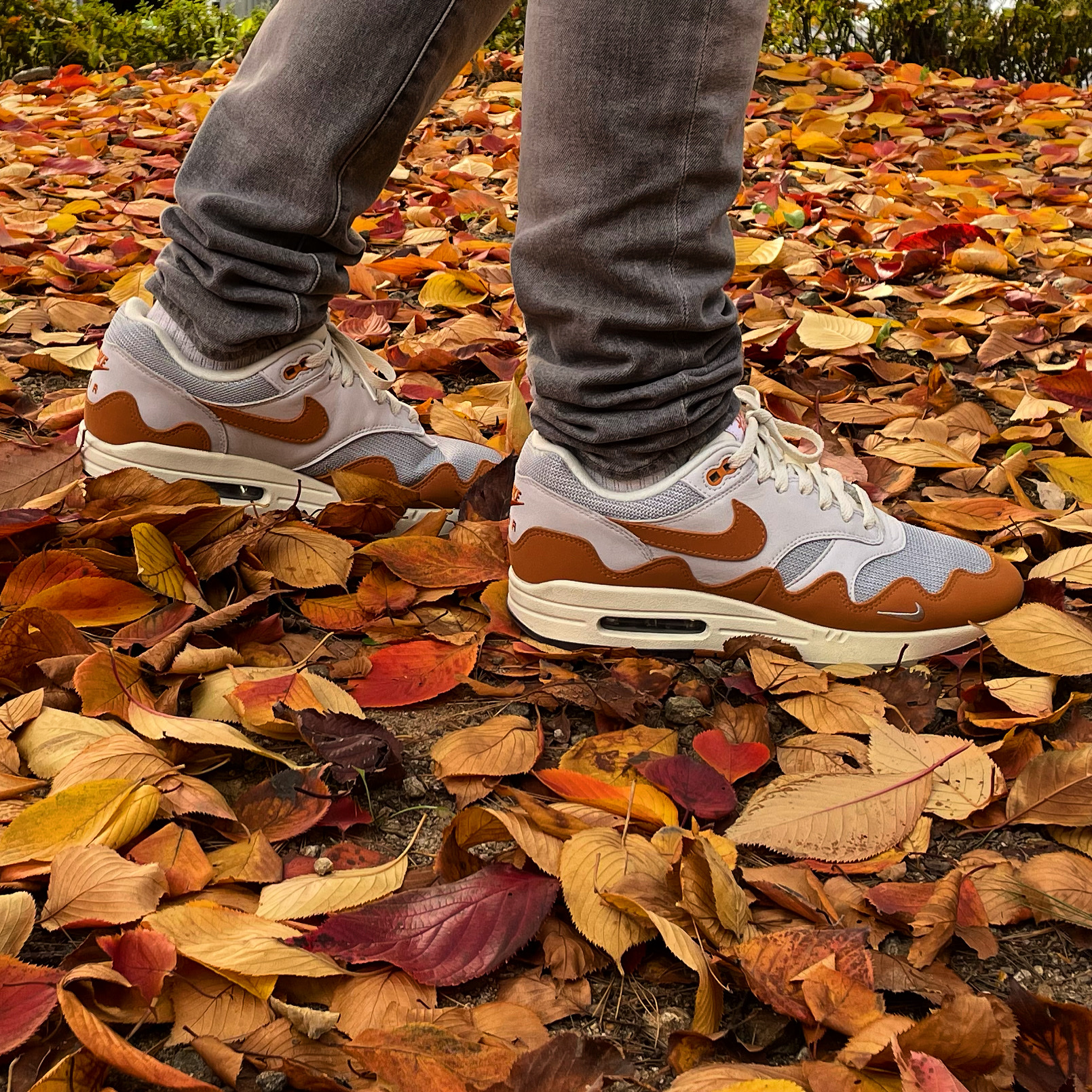 Nike x Patta Air Max 1 Monarch 착용 스타일