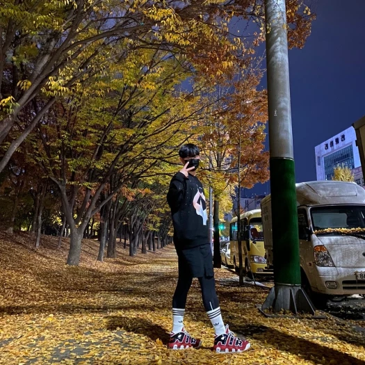 스타일 카드