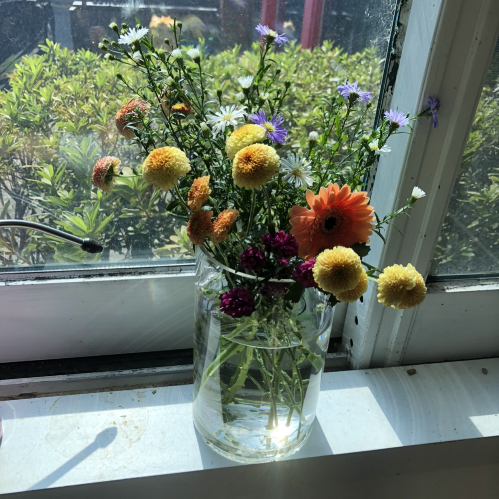 관심 유저 프로필 이미지