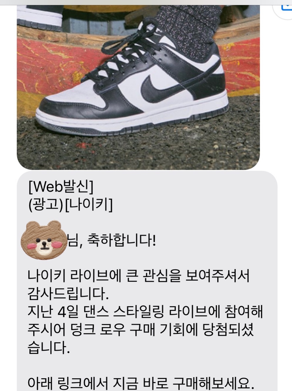 Nike Dunk Low Retro Black 착용 스타일