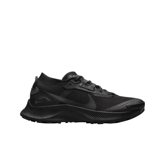 (W) Nike Pegasus Trail 3 Gore-Tex Black Dark Smoke Grey