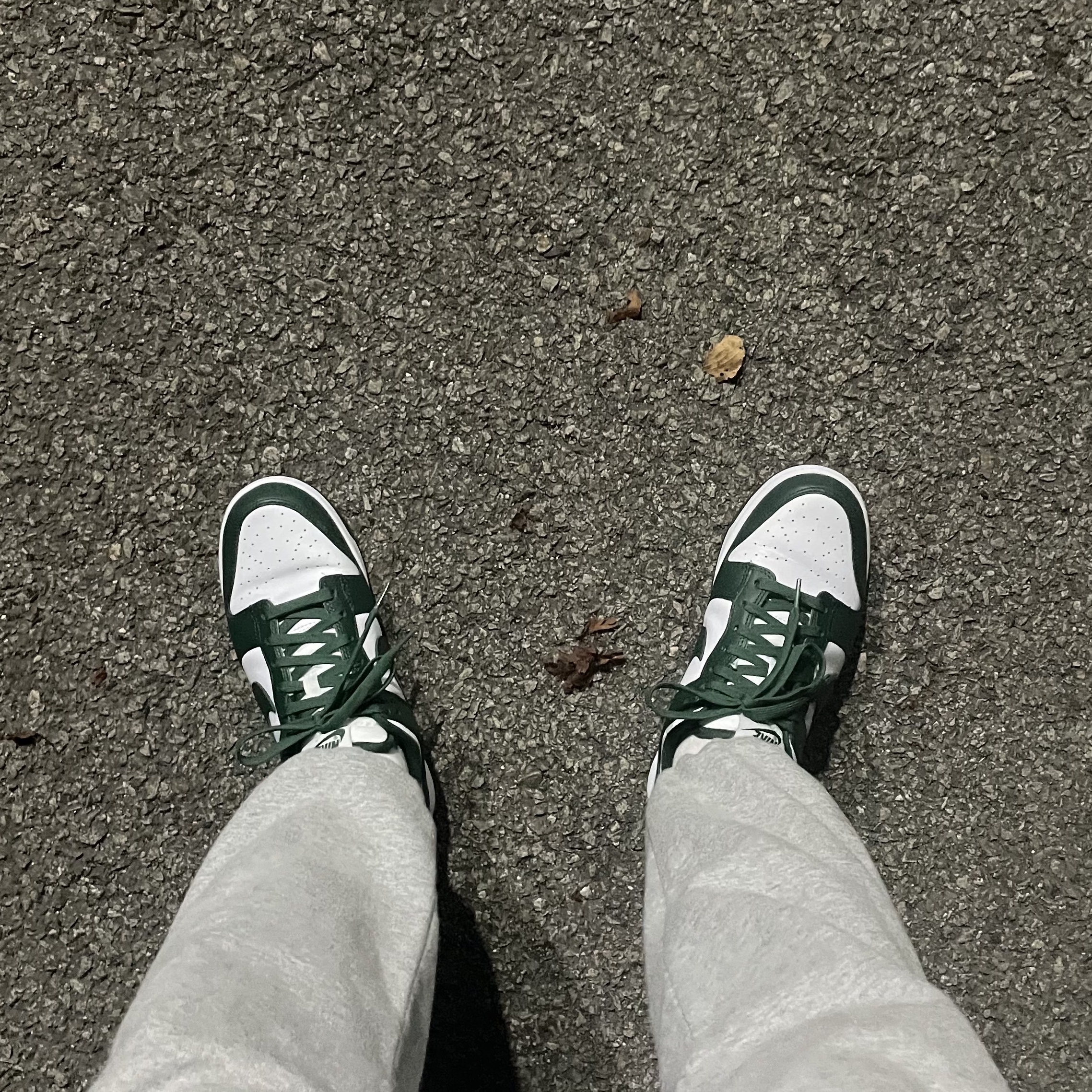 Nike Dunk Low Retro Varsity Green 착용 스타일
