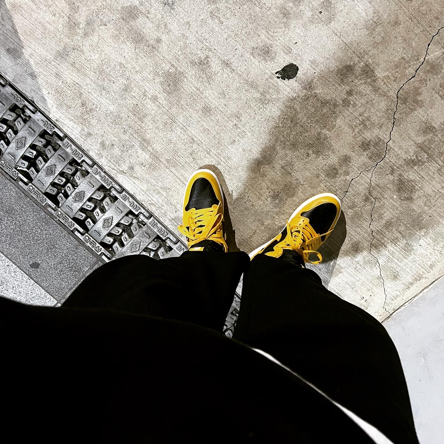 Jordan 1 Retro High OG Pollen 착용 스타일 - 1