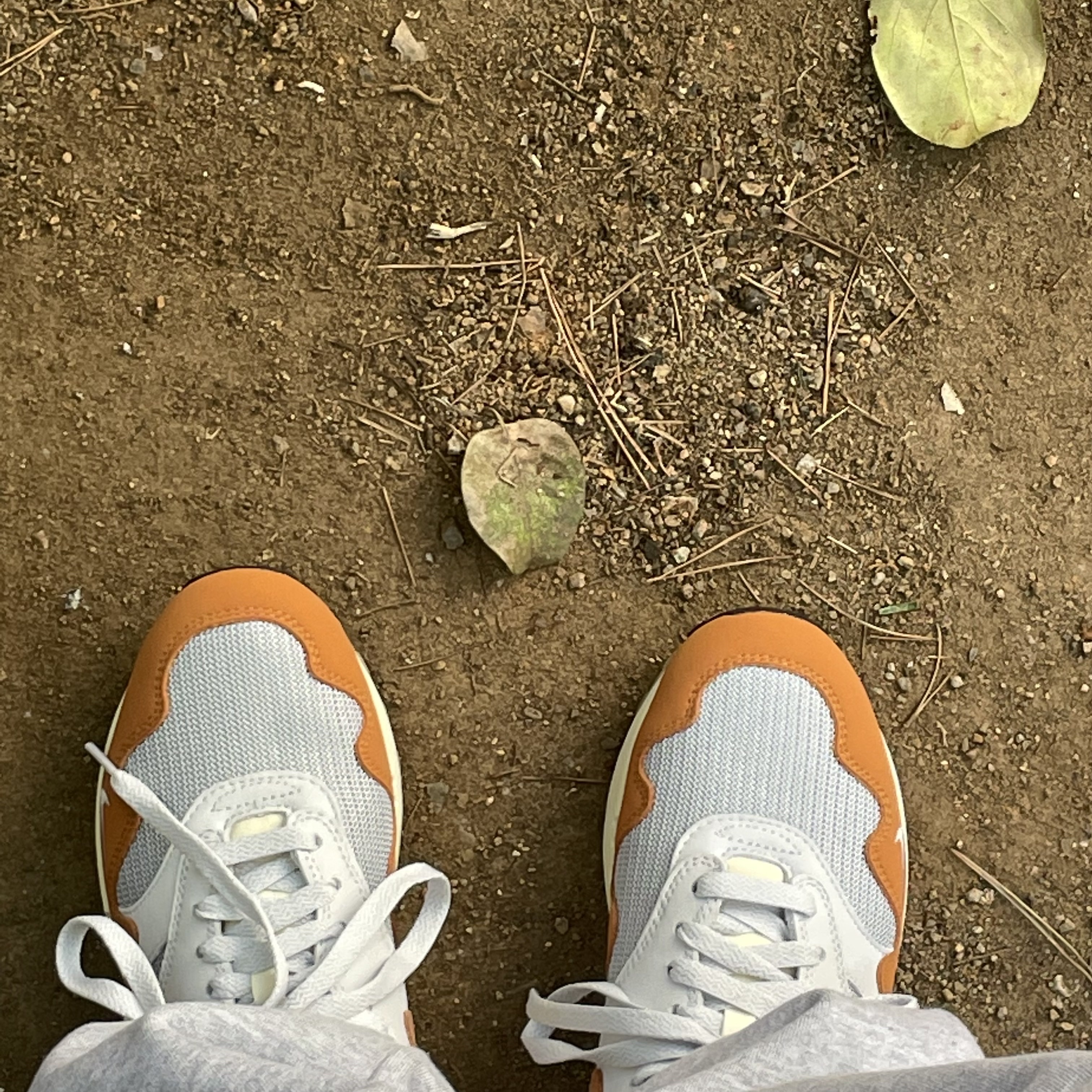 Nike x Patta Air Max 1 Monarch 착용 스타일