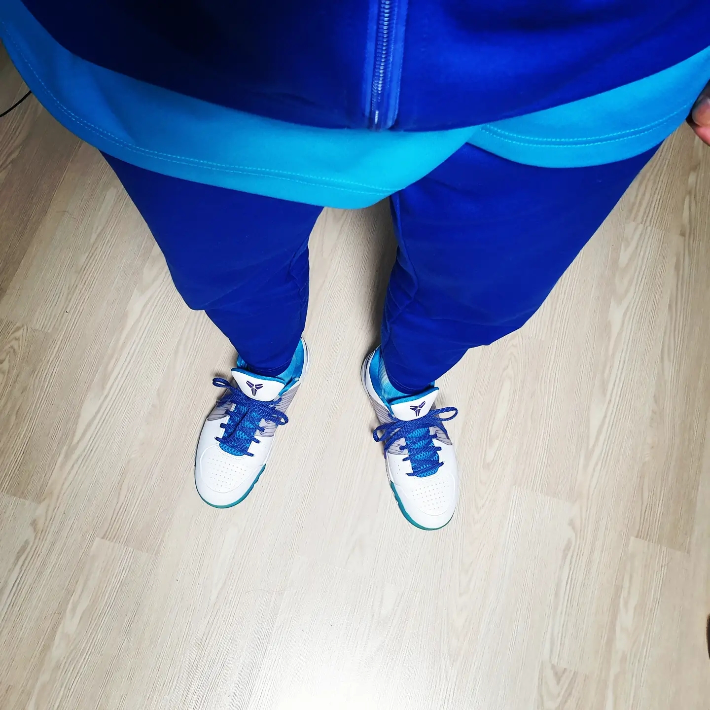 Nike Kobe 4 Protro Draft Day Hornets 착용 스타일 - 1