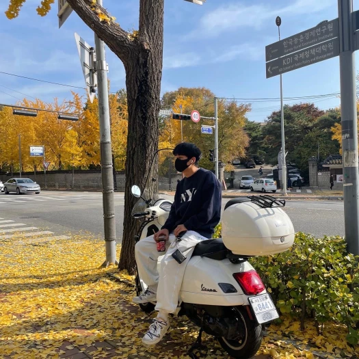 스타일 카드