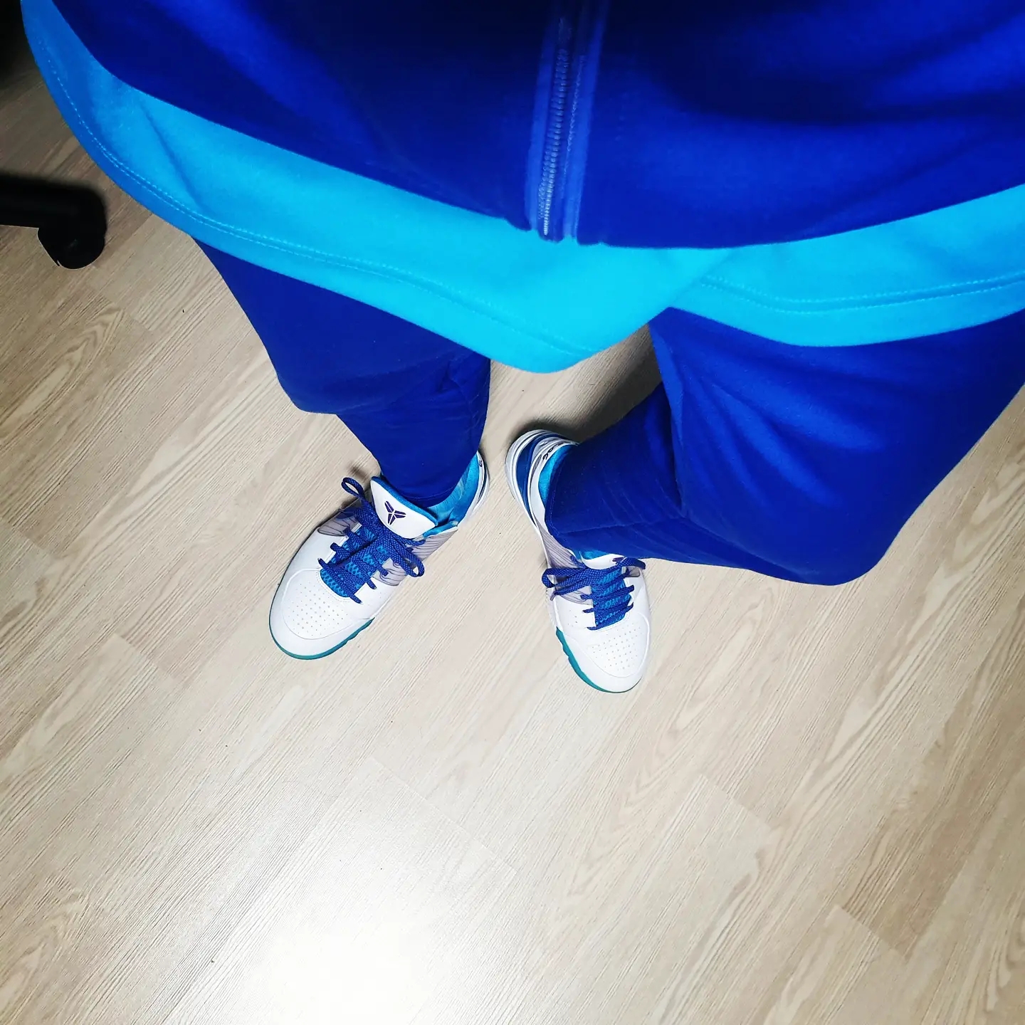 Nike Kobe 4 Protro Draft Day Hornets 착용 스타일 - 2