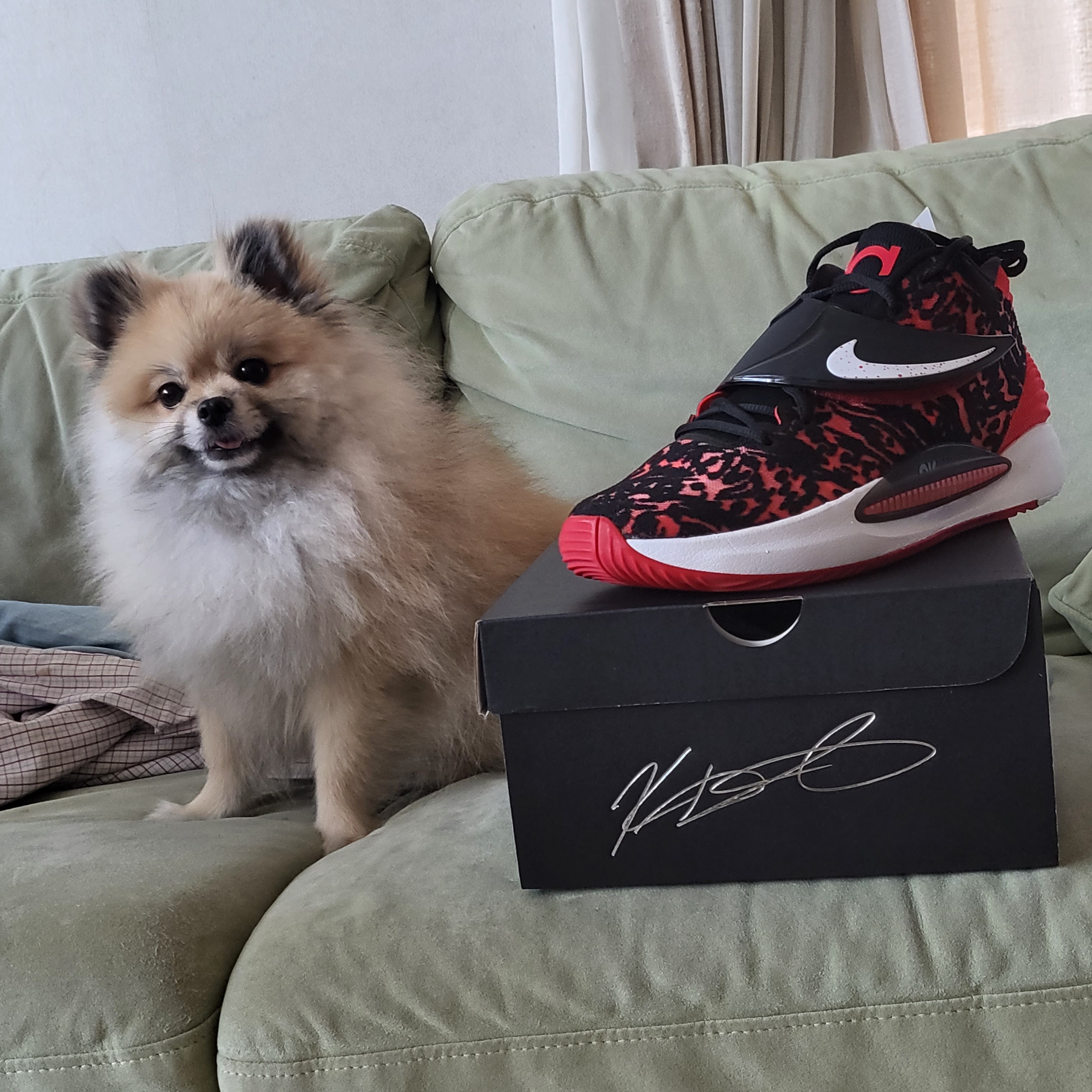 Nike KD 14 EP Black University Red 착용 스타일 - 3