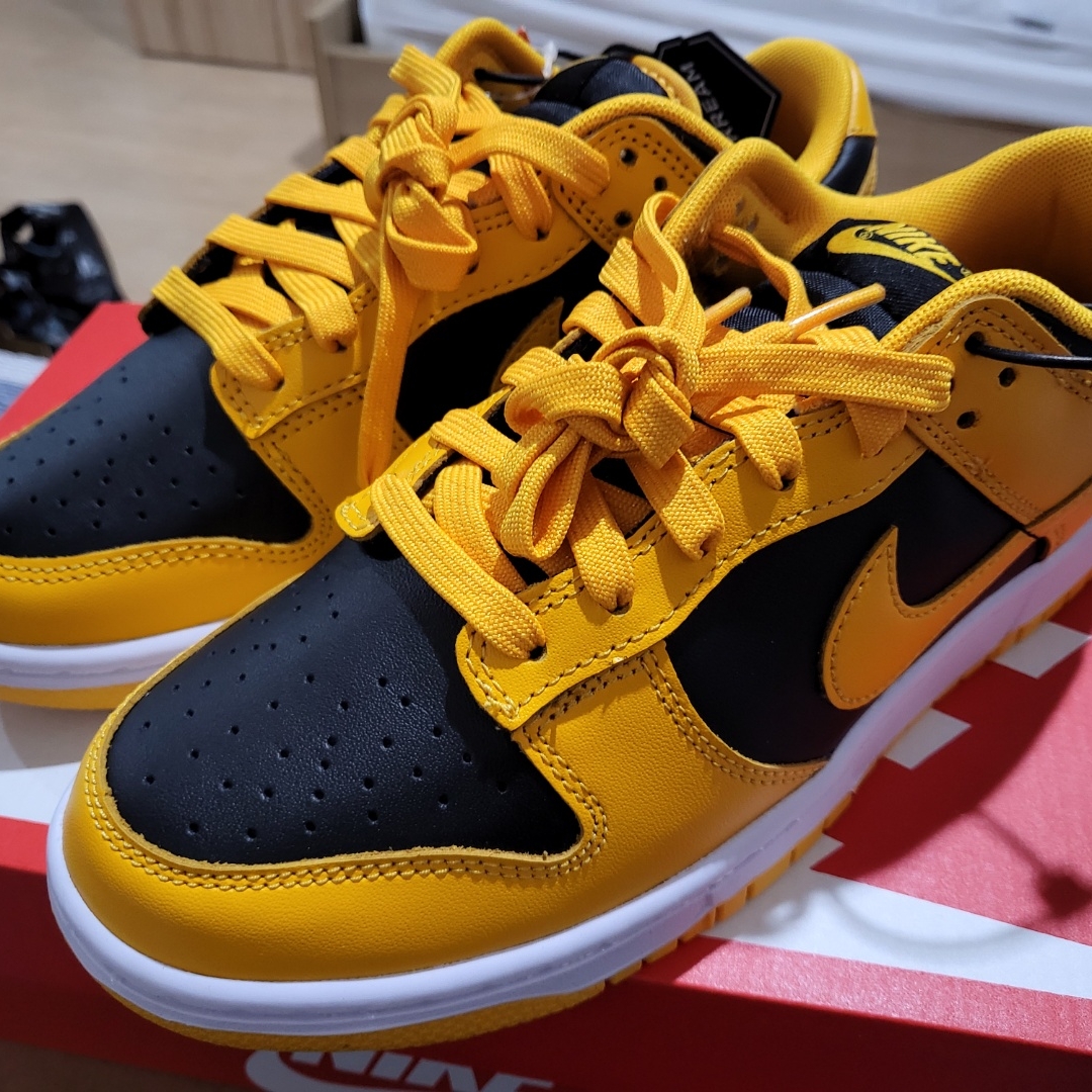 Nike Dunk Low Retro Championship Goldenrod 착용 스타일
