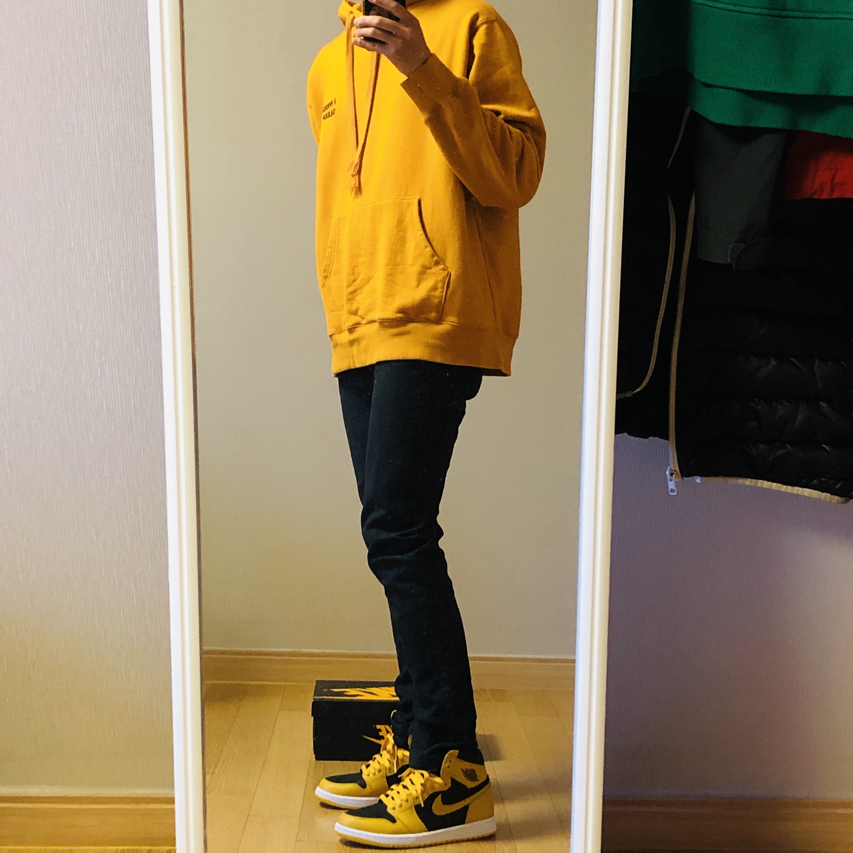 Jordan 1 Retro High OG Pollen 착용 스타일 - 1