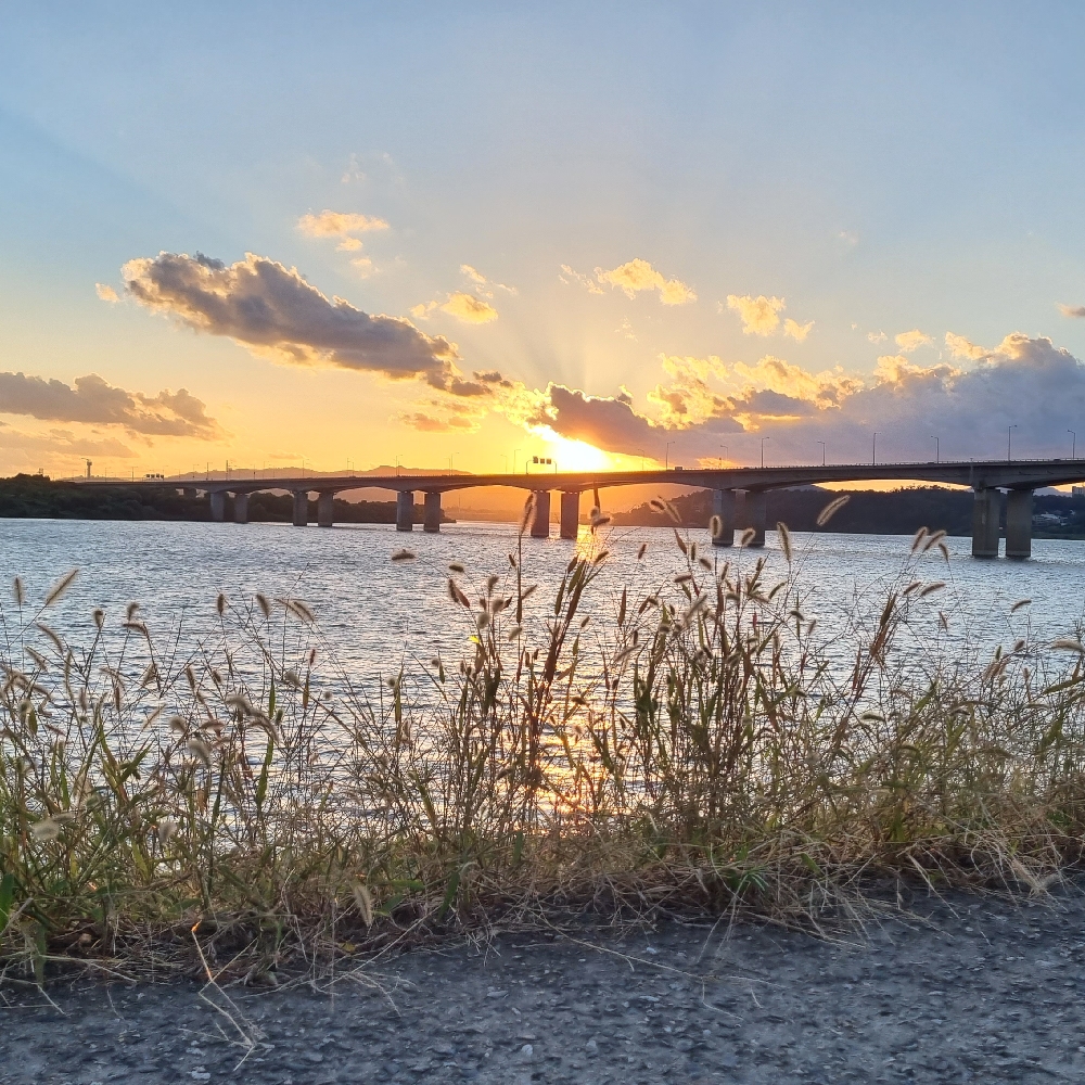 관심 유저 프로필 이미지