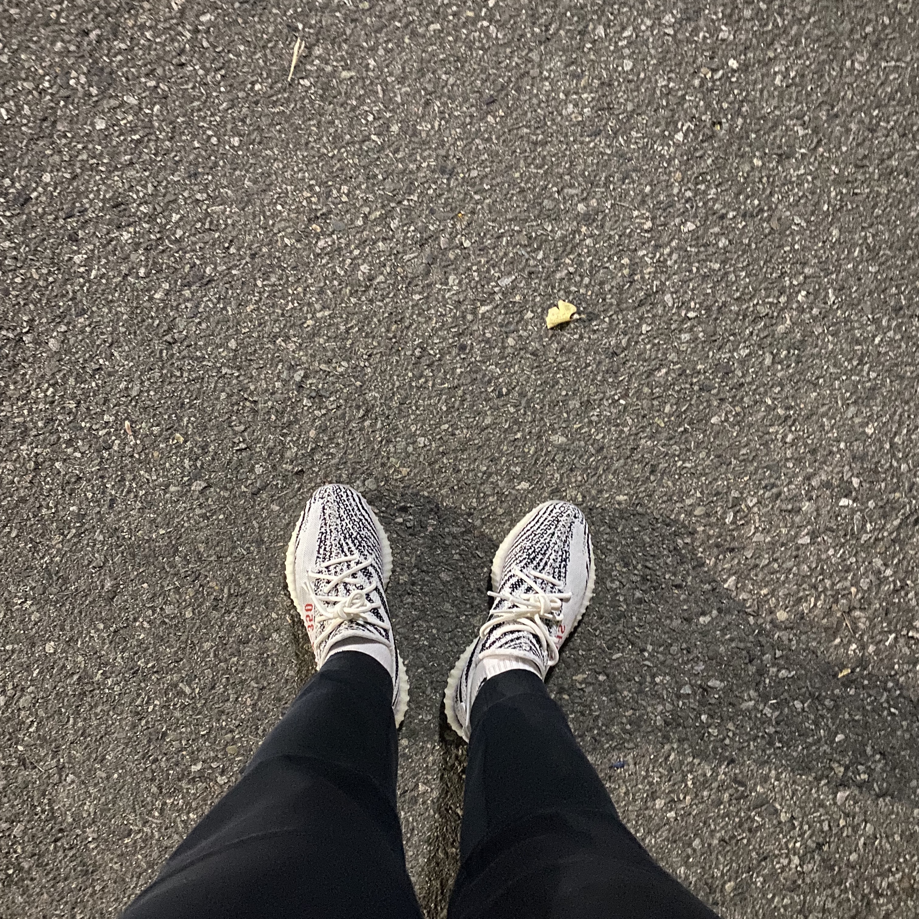 Adidas Yeezy Boost 350 V2 Zebra 2017/2019/2020 착용 스타일 - 1