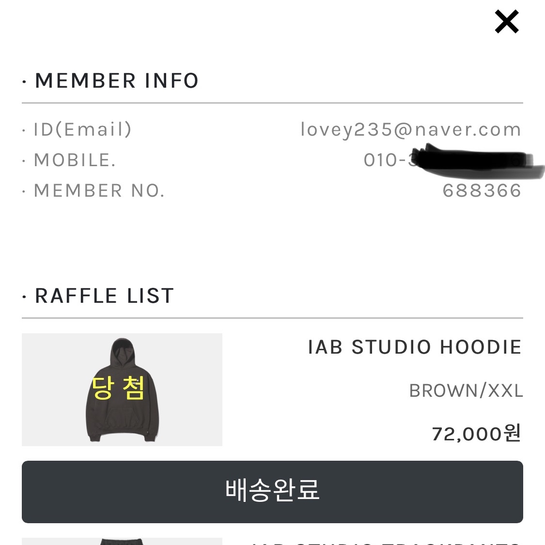 IAB Studio Hoodie Brown 착용 스타일